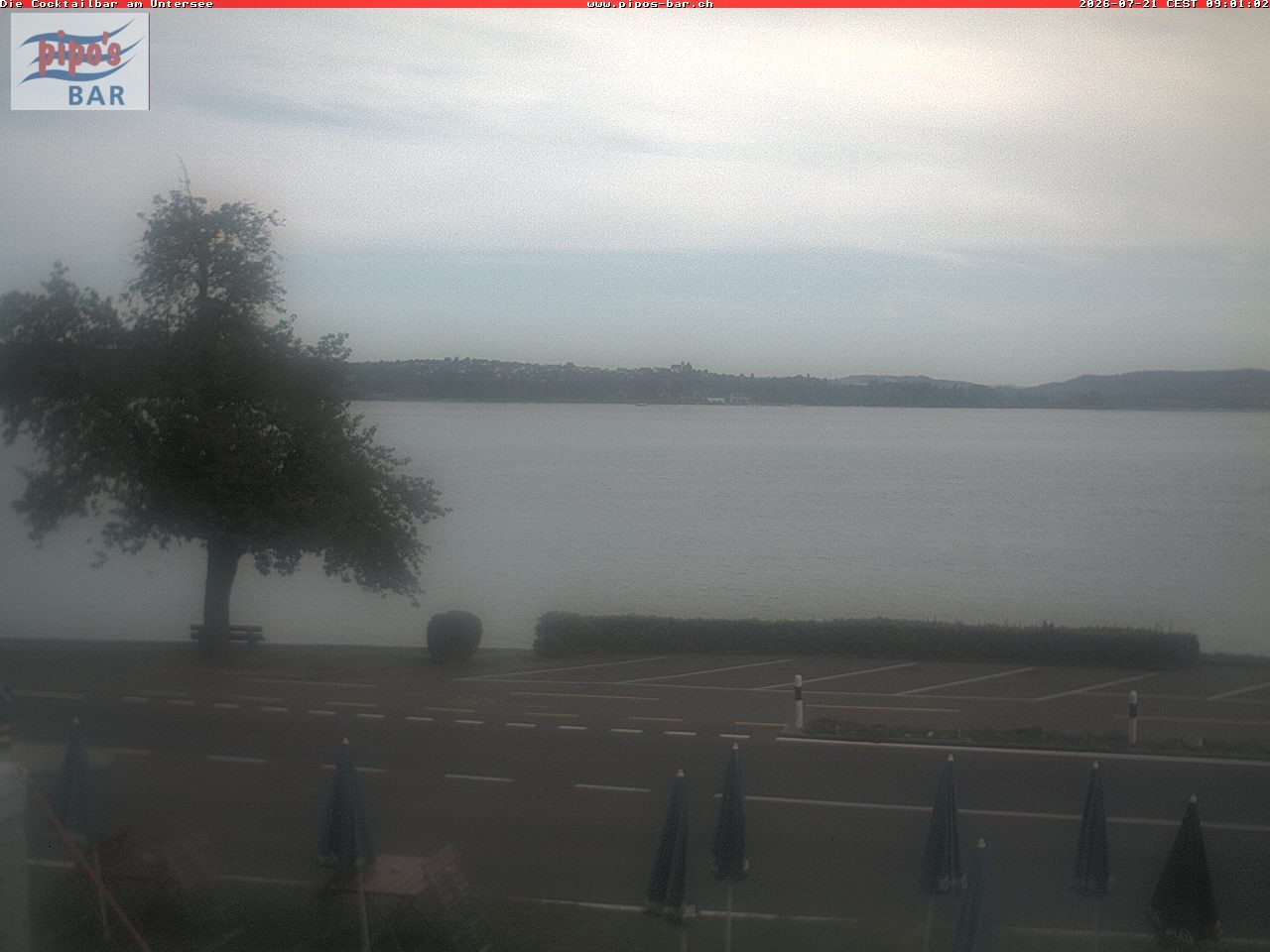 Archiv Foto Webcam Berlingen - Blick auf den Untersee