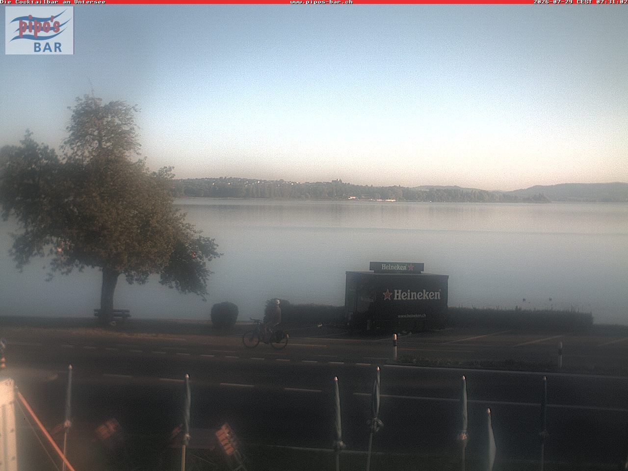 Archiv Foto Webcam Berlingen - Blick auf den Untersee