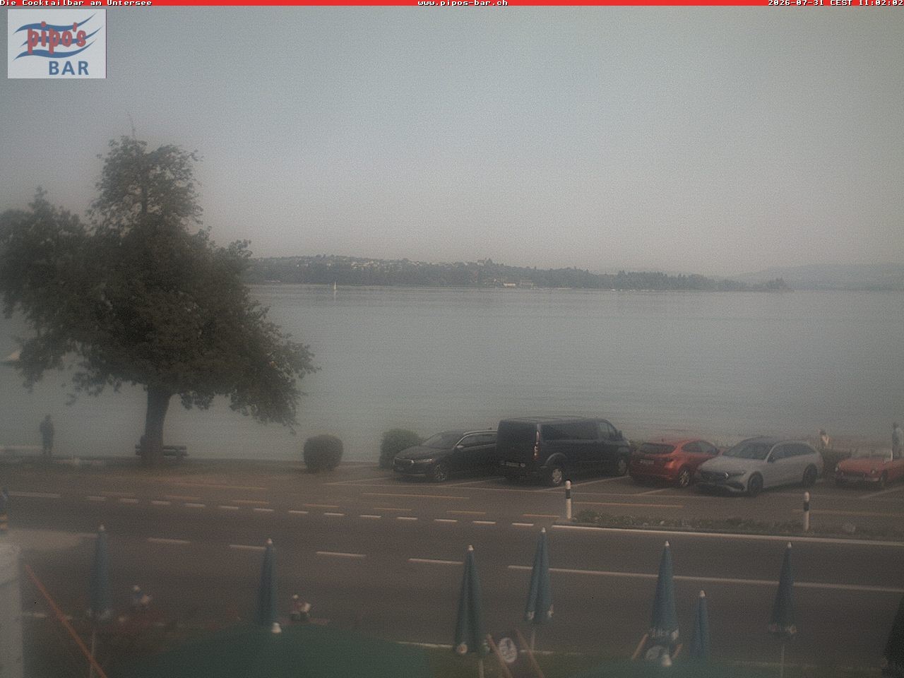Archiv Foto Webcam Berlingen - Blick auf den Untersee