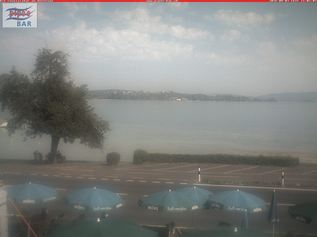 Archiv Foto Webcam Berlingen - Blick auf den Untersee