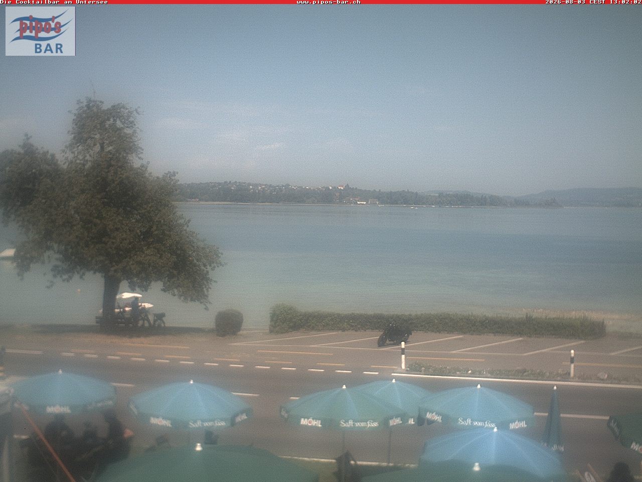 Archiv Foto Webcam Berlingen - Blick auf den Untersee