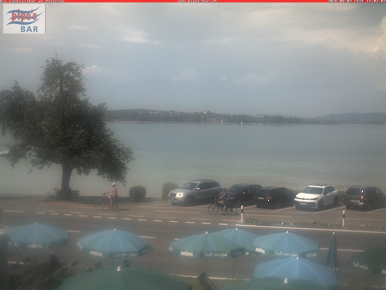 Archiv Foto Webcam Berlingen - Blick auf den Untersee