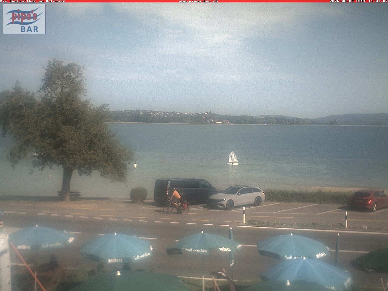 Archiv Foto Webcam Berlingen - Blick auf den Untersee