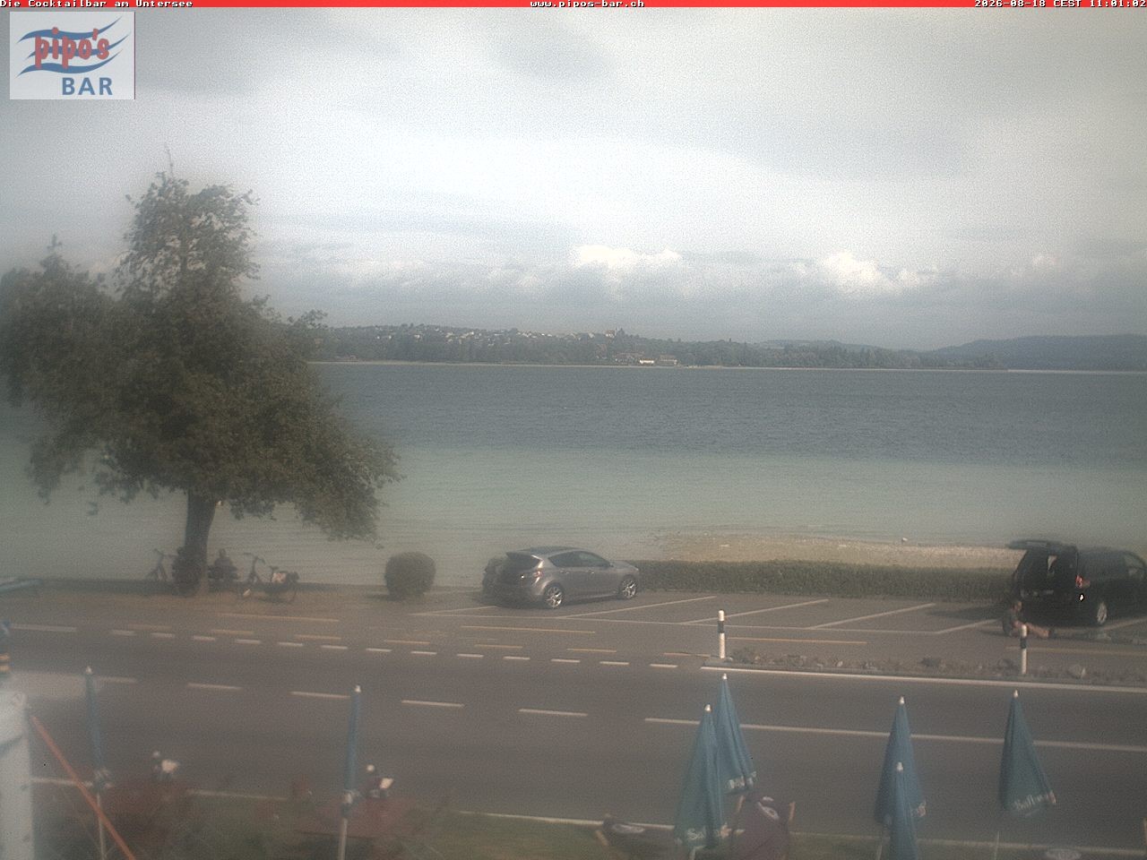 Archiv Foto Webcam Berlingen - Blick auf den Untersee
