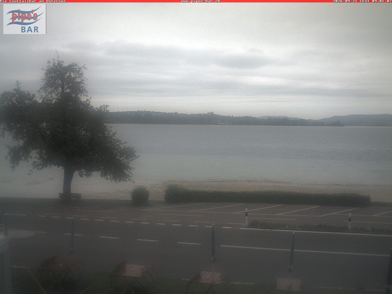 Archiv Foto Webcam Berlingen - Blick auf den Untersee