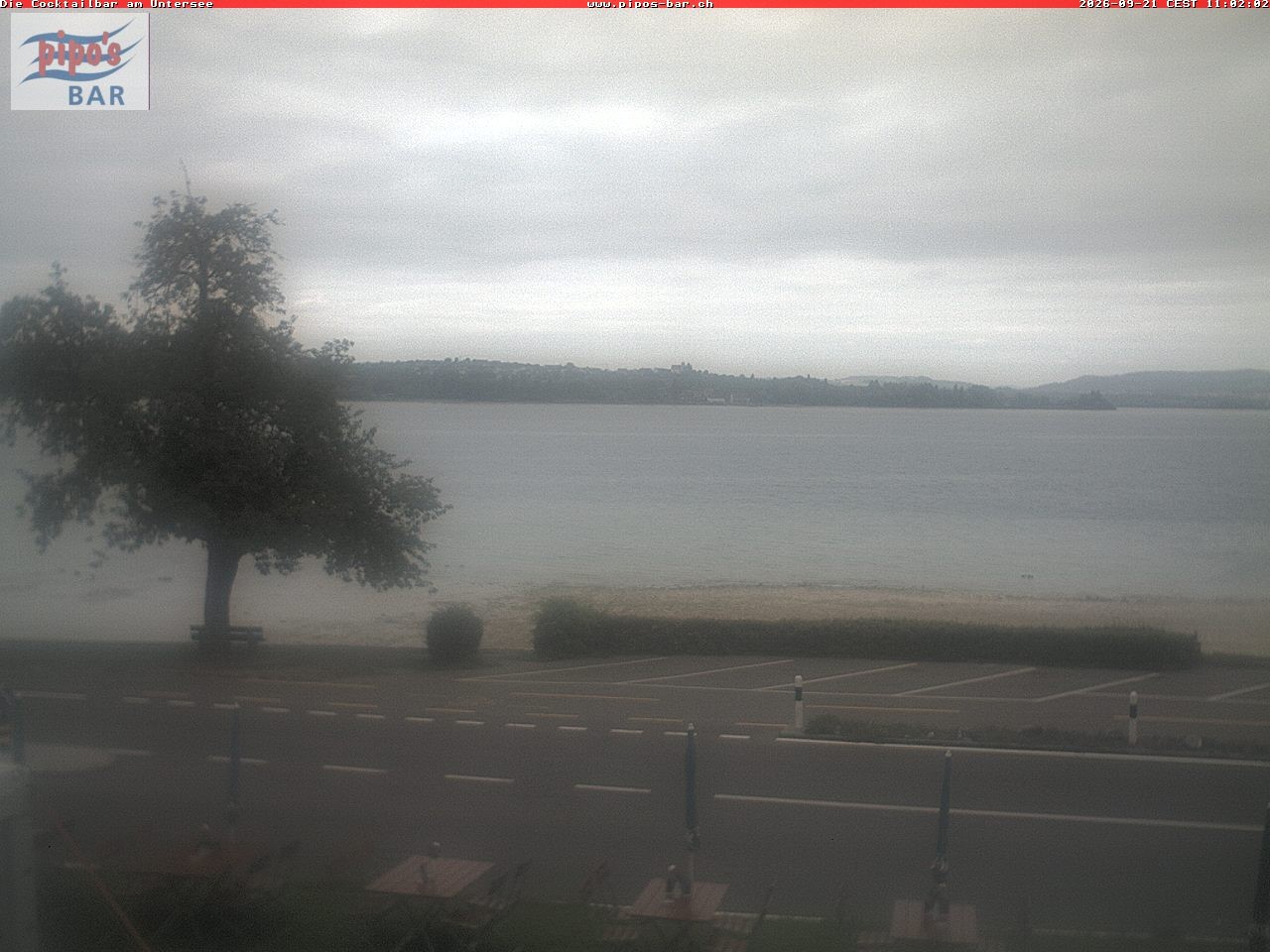 Archiv Foto Webcam Berlingen - Blick auf den Untersee