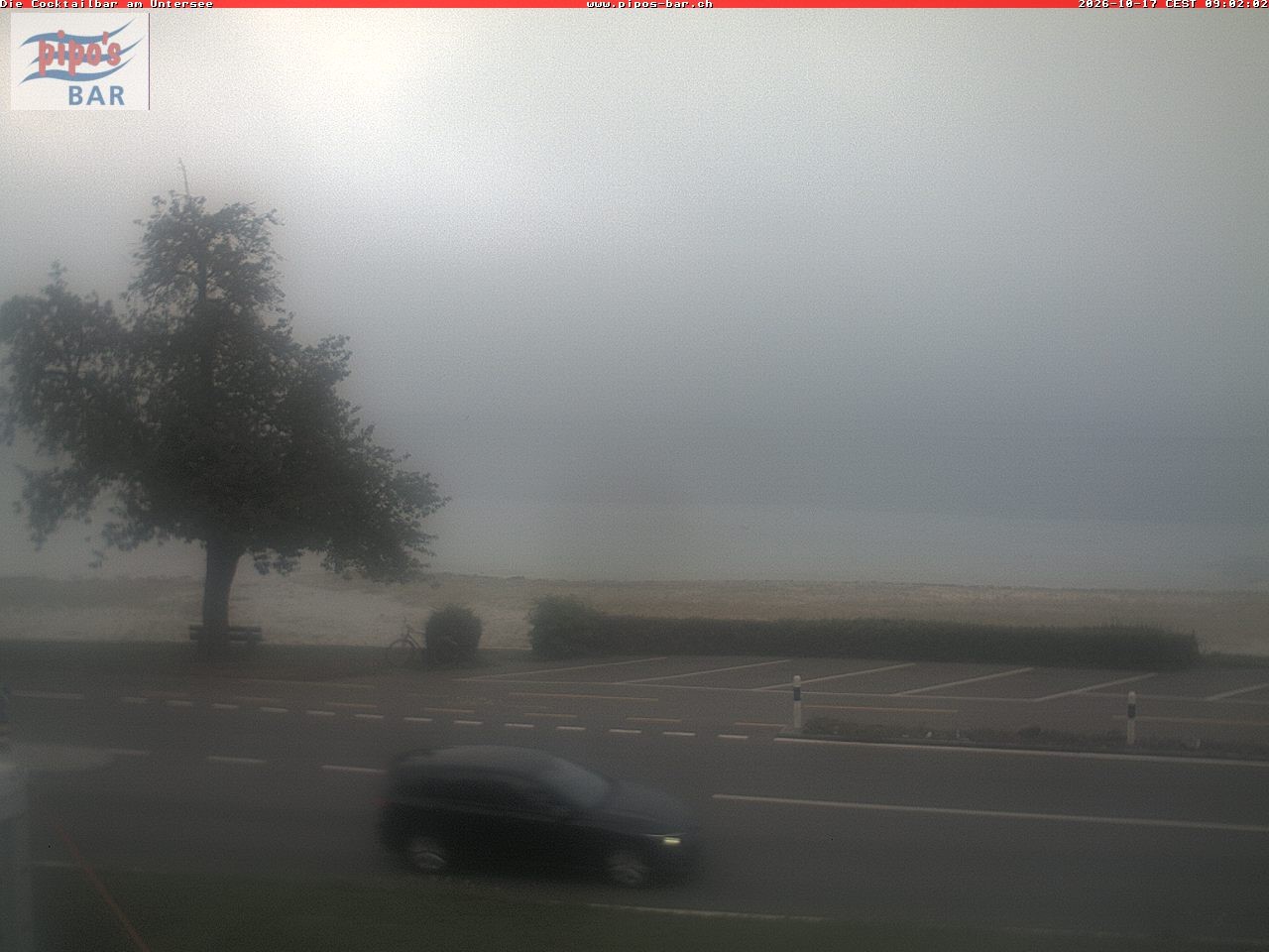 Archiv Foto Webcam Berlingen - Blick auf den Untersee