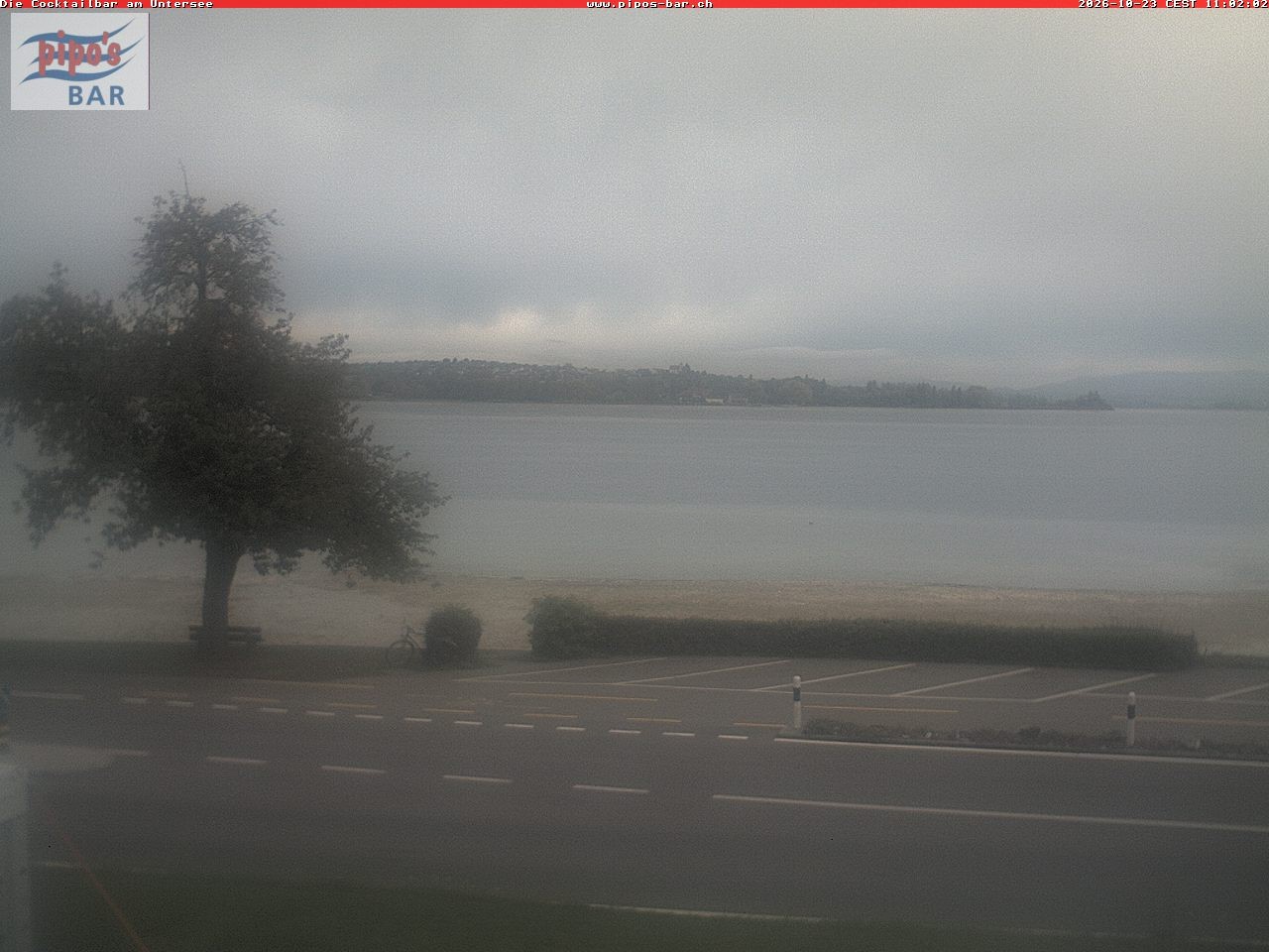 Archiv Foto Webcam Berlingen - Blick auf den Untersee