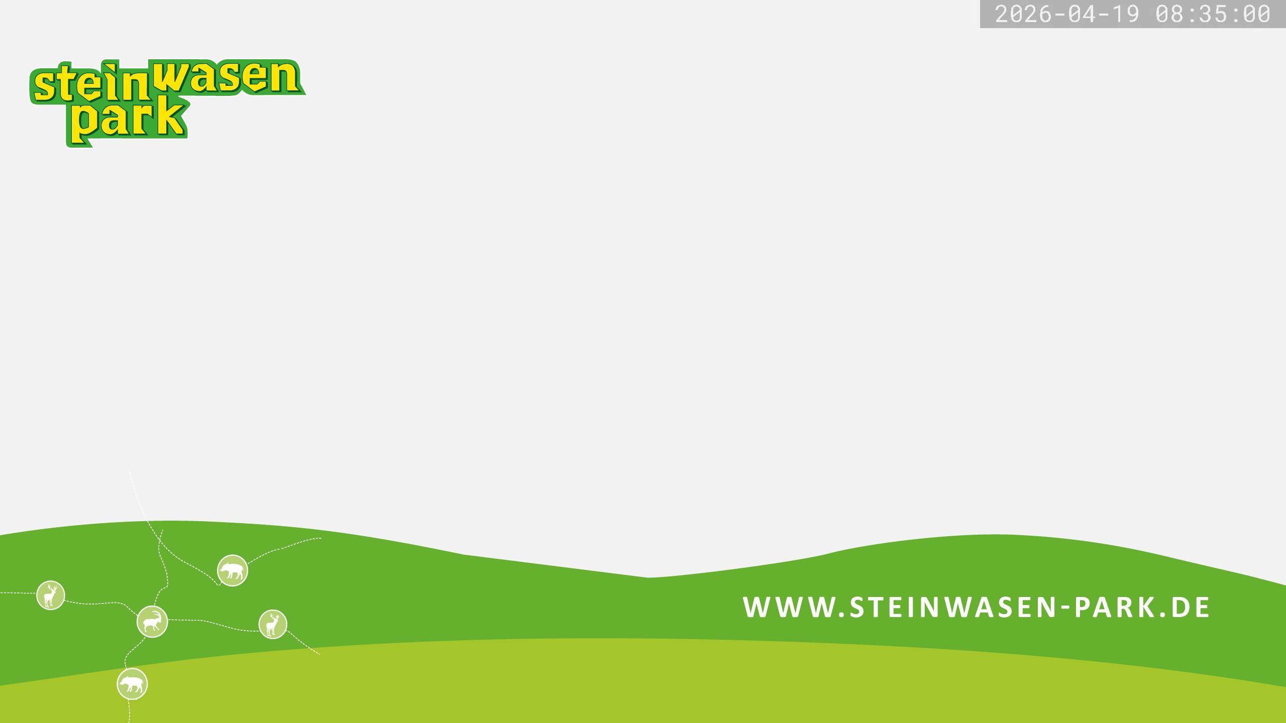 Archived image Webcam at Steinwasen Park