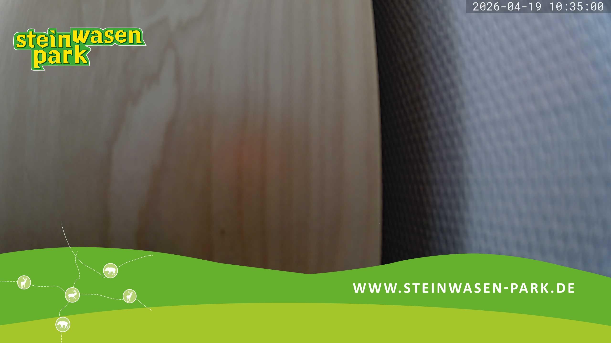 Archived image Webcam at Steinwasen Park