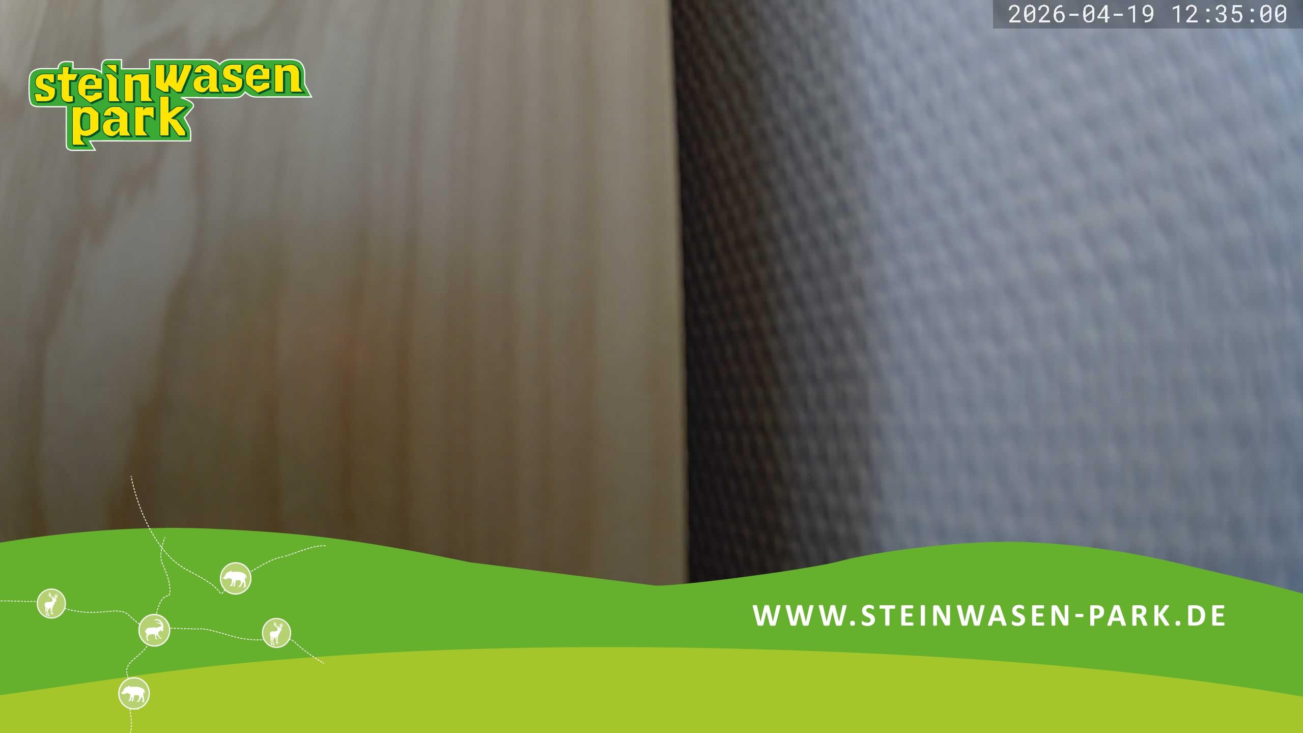 Archived image Webcam at Steinwasen Park