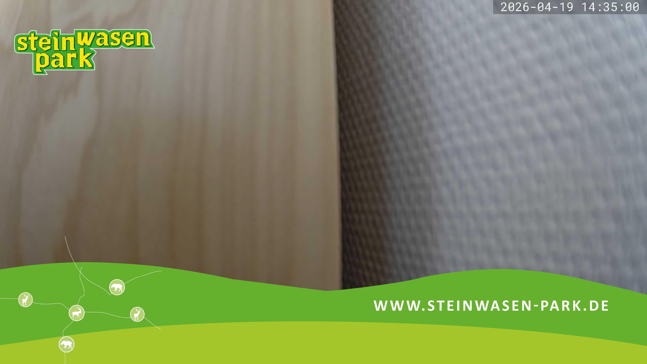 Archived image Webcam at Steinwasen Park