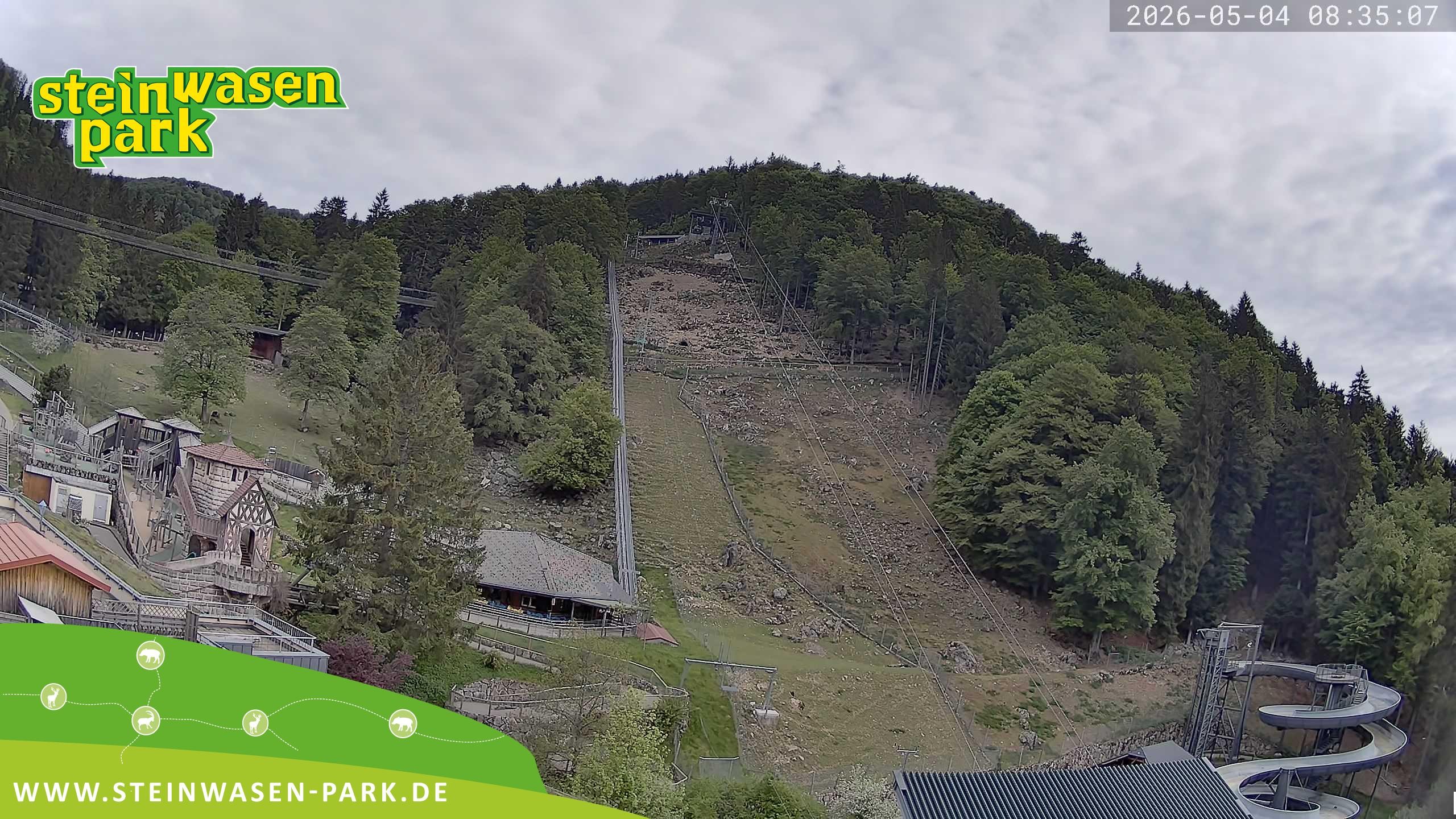 Archiv Foto Webcam Steinwasen Park
