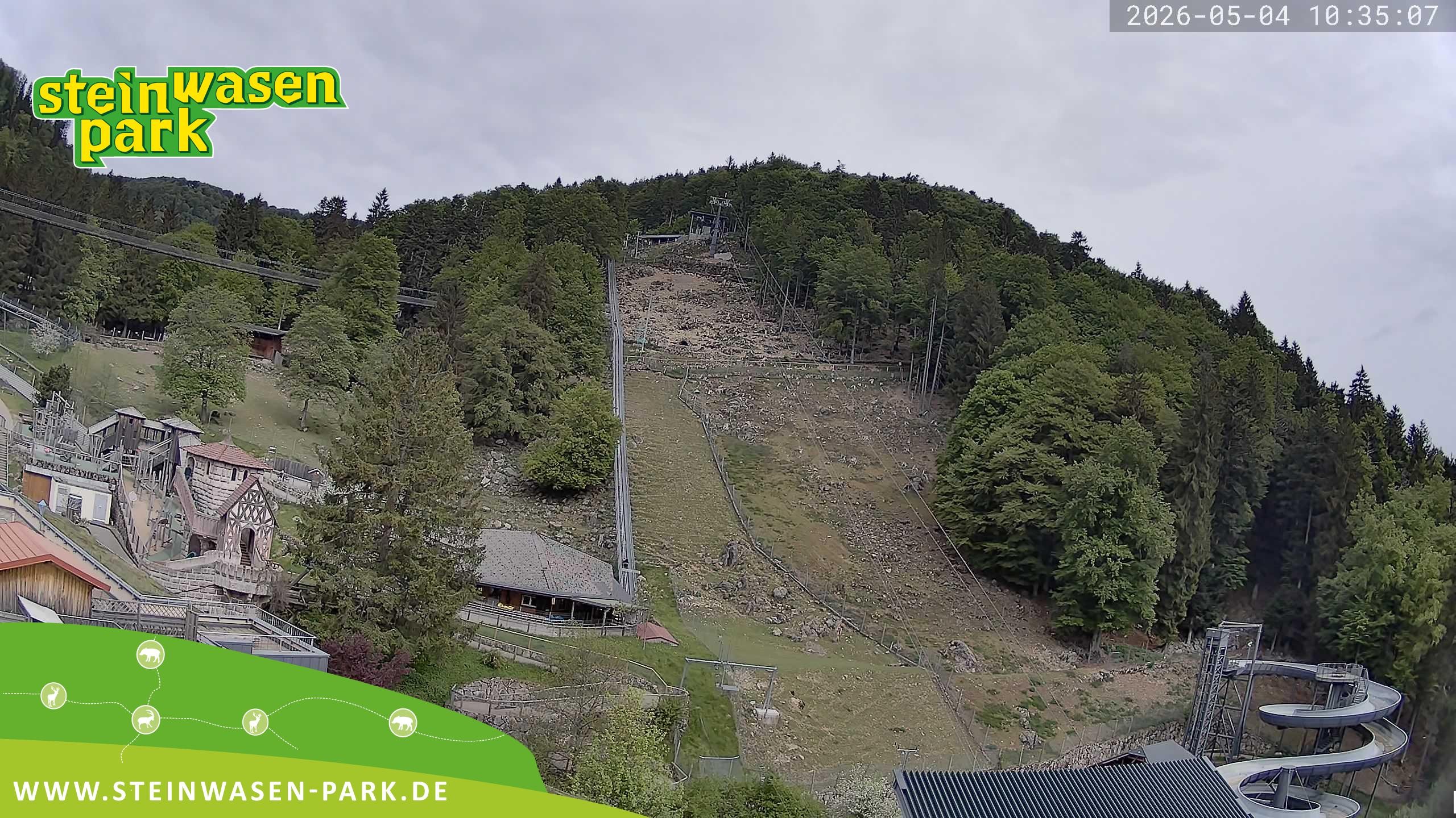 Archiv Foto Webcam Steinwasen Park