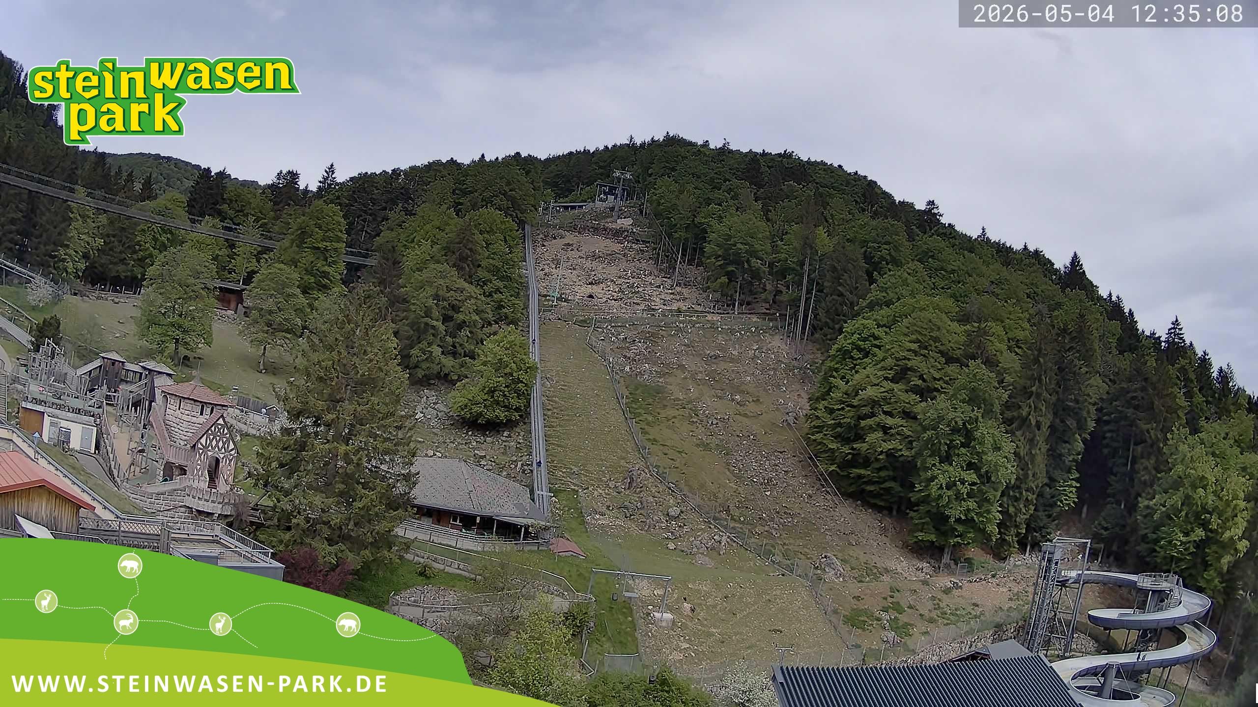 Archiv Foto Webcam Steinwasen Park