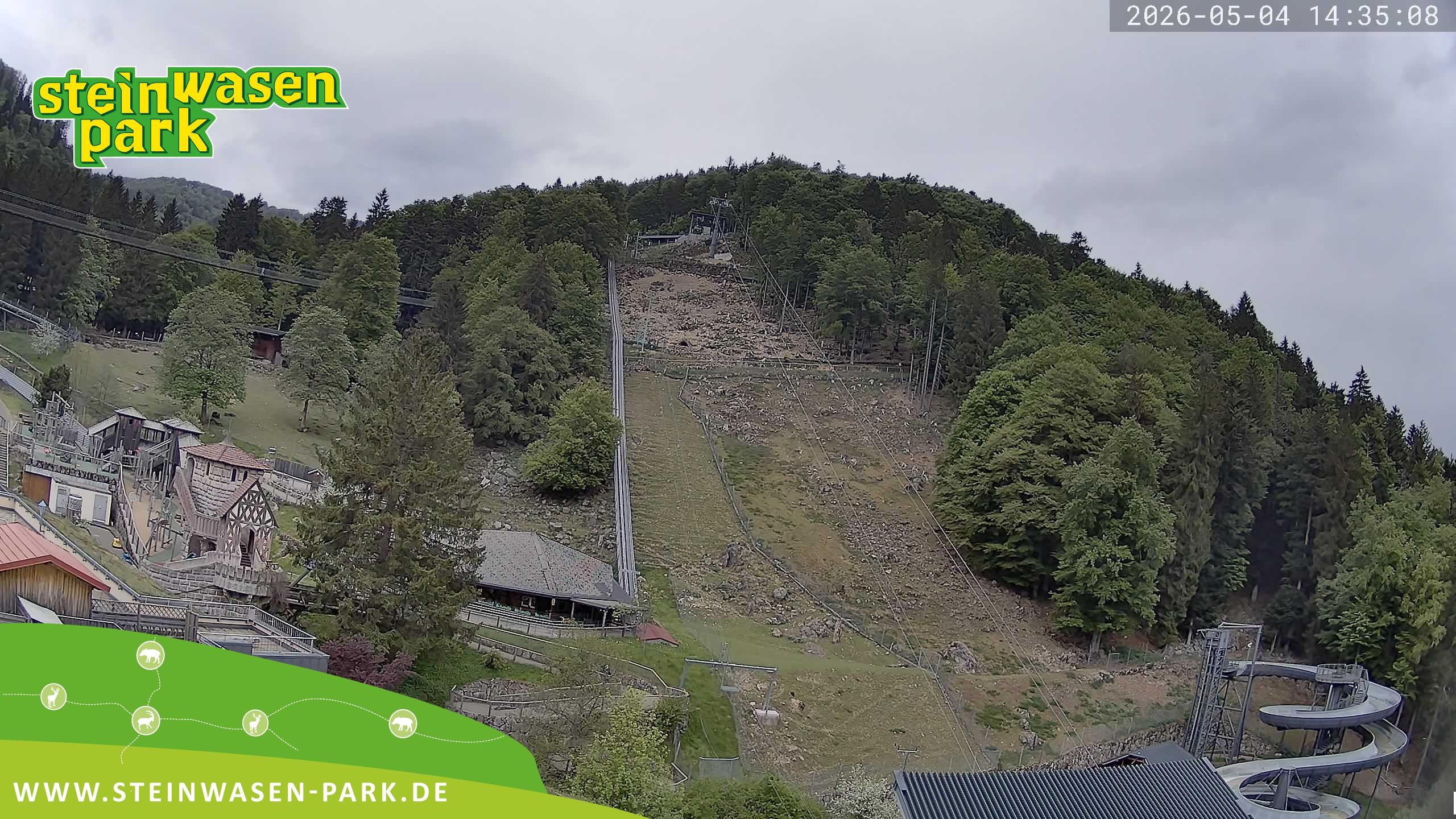 Archiv Foto Webcam Steinwasen Park
