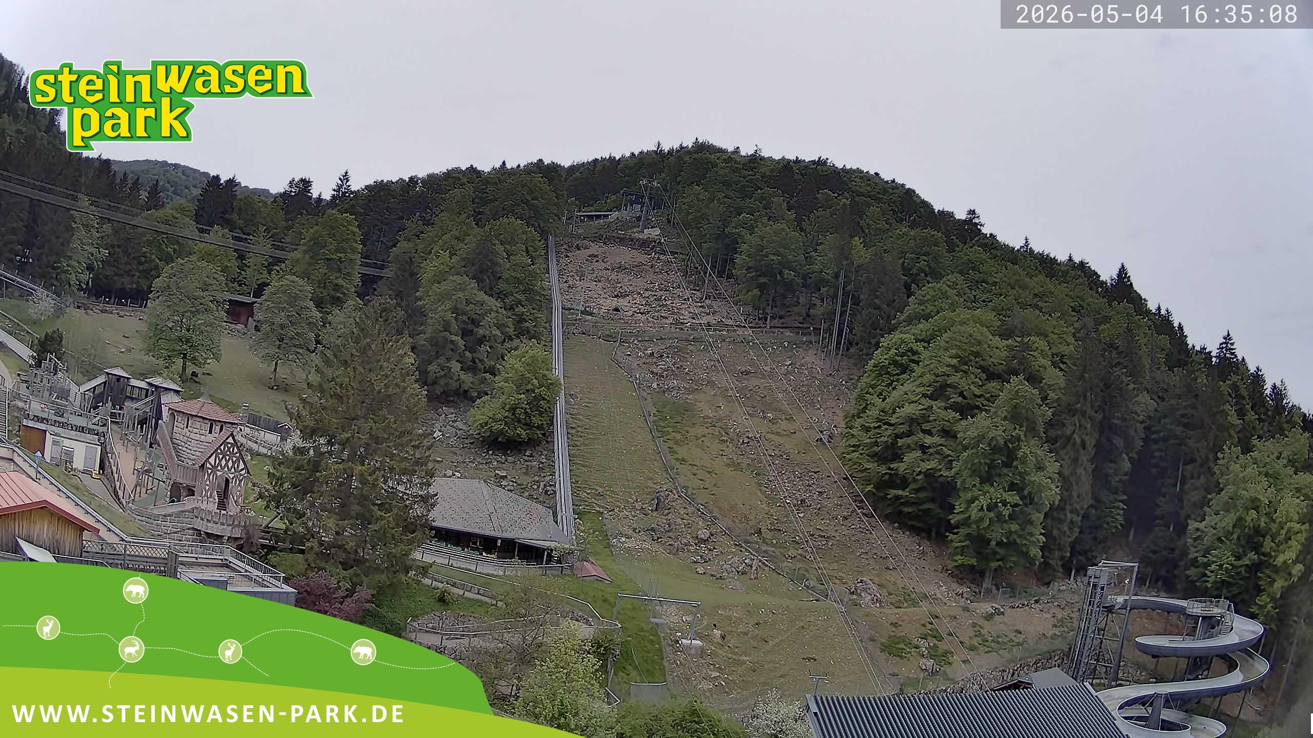 Archiv Foto Webcam Steinwasen Park
