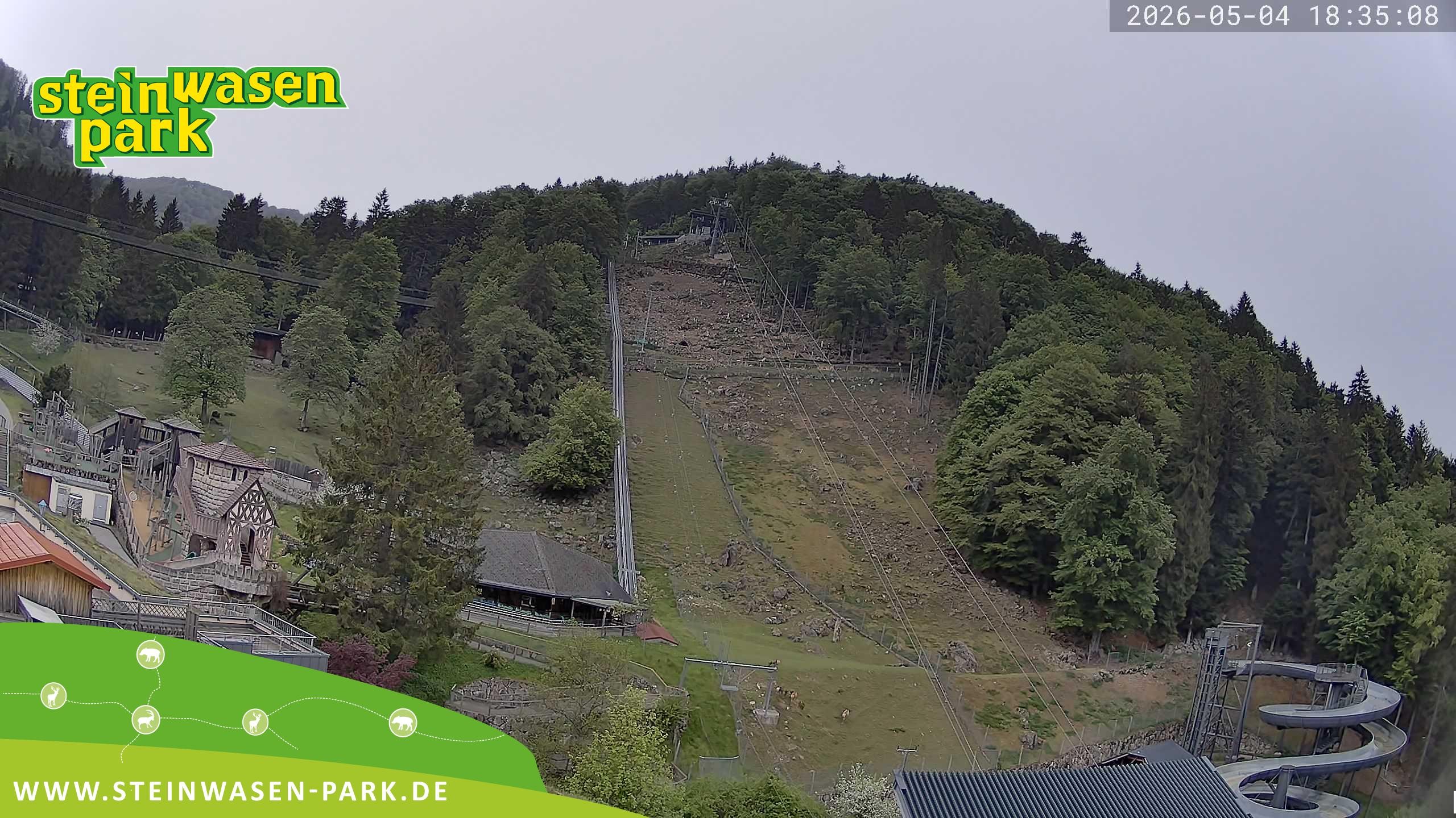 Archiv Foto Webcam Steinwasen Park