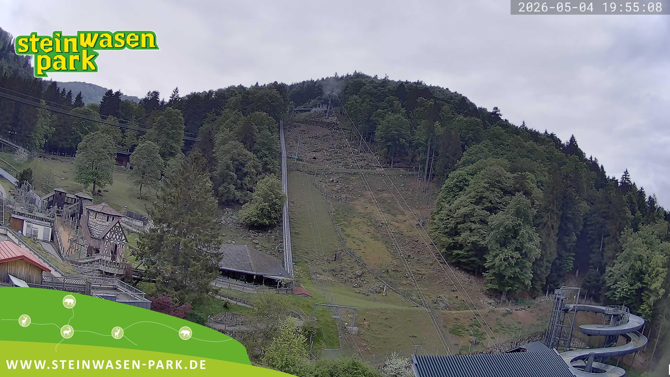 Archiv Foto Webcam Steinwasen Park