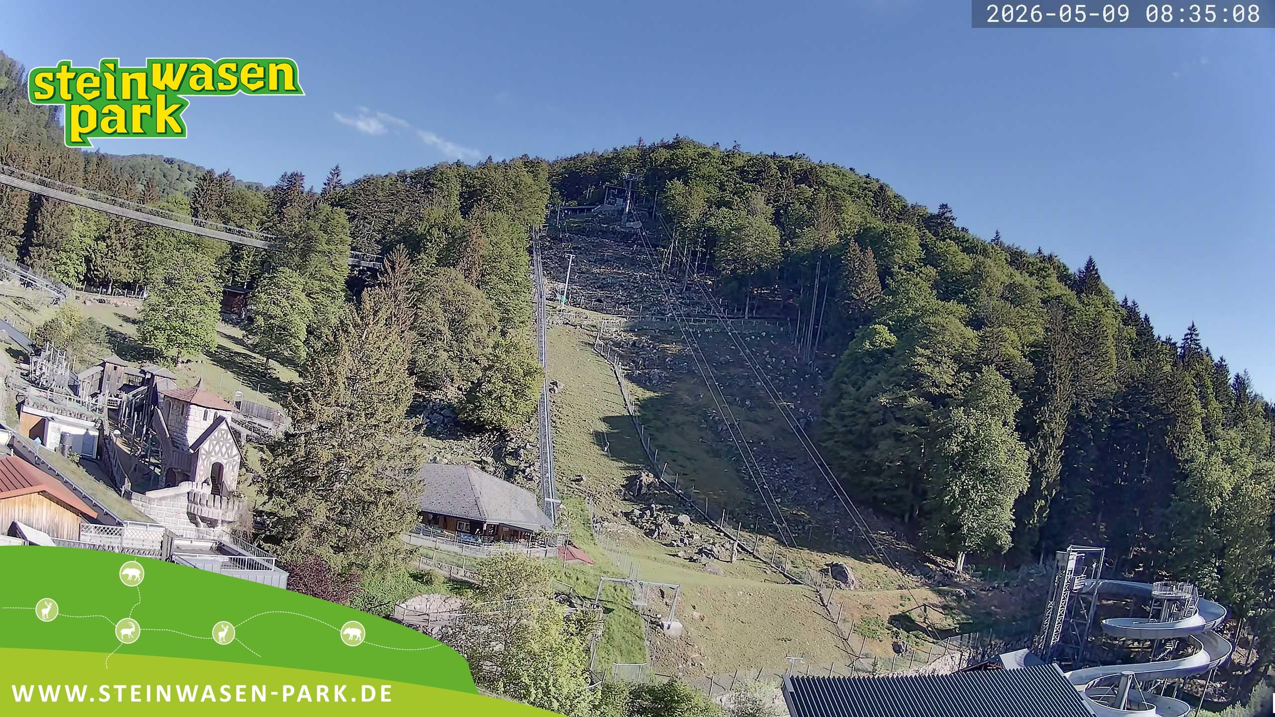 Archiv Foto Webcam Steinwasen Park