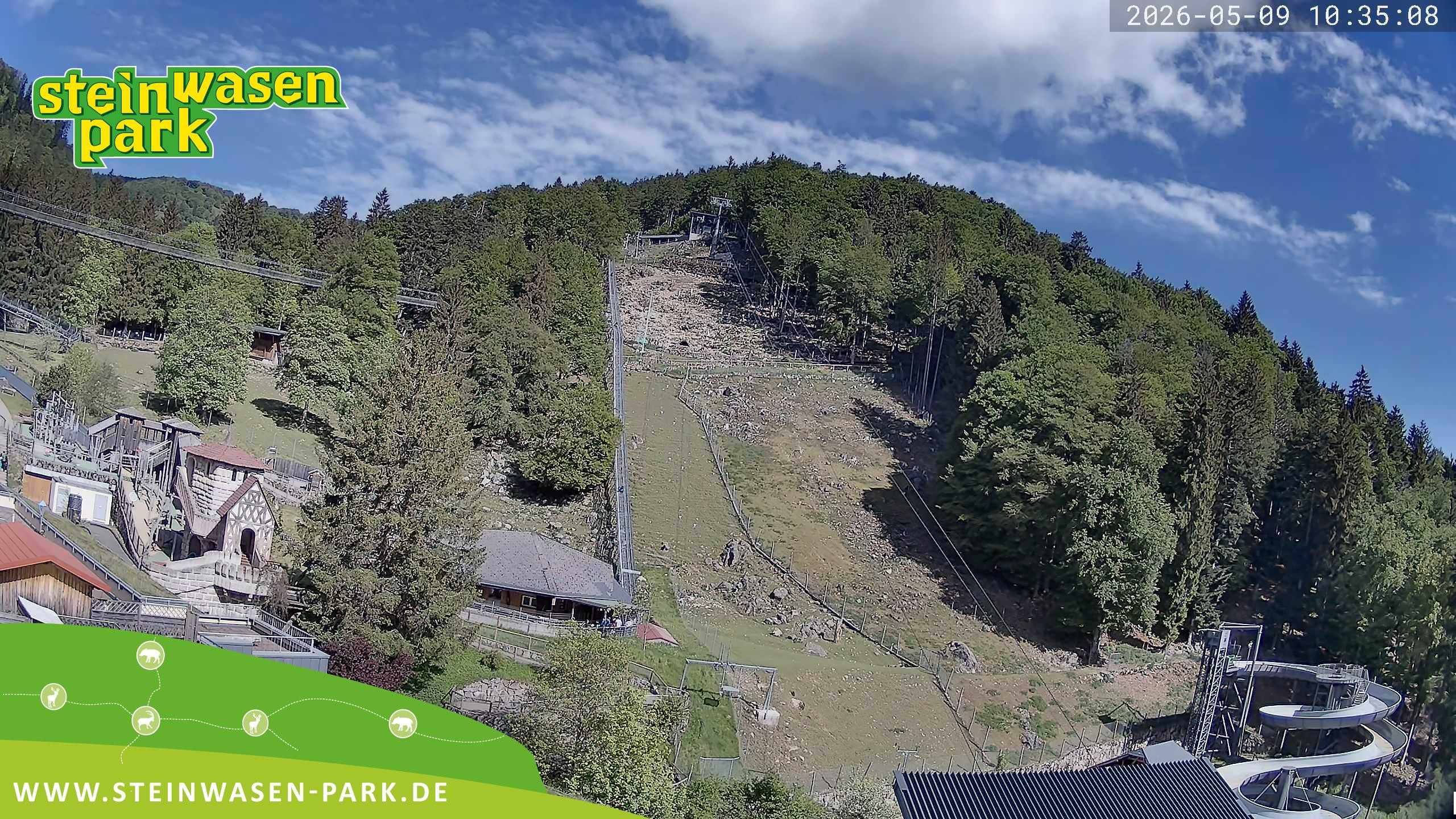 Archiv Foto Webcam Steinwasen Park