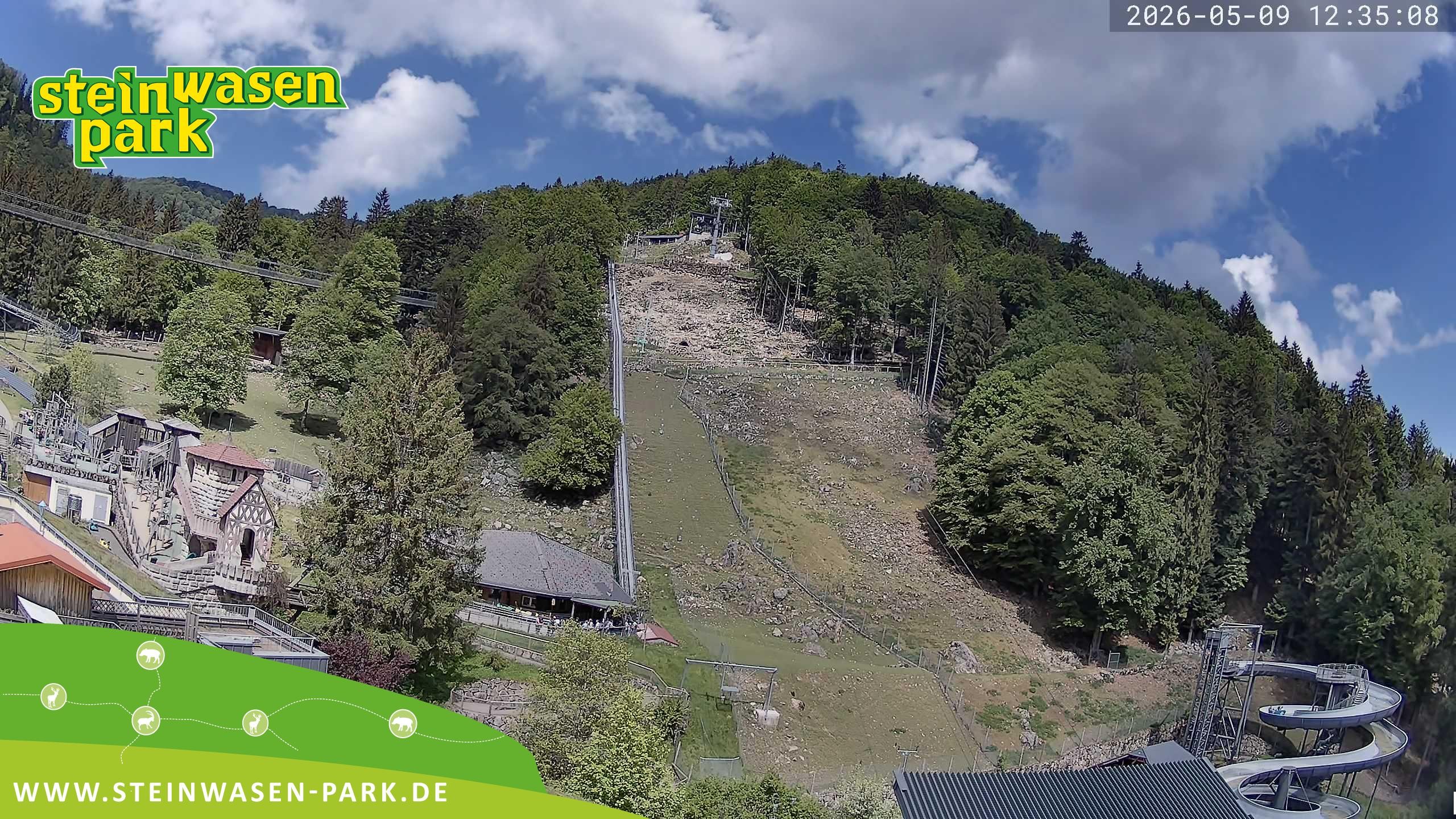 Archiv Foto Webcam Steinwasen Park