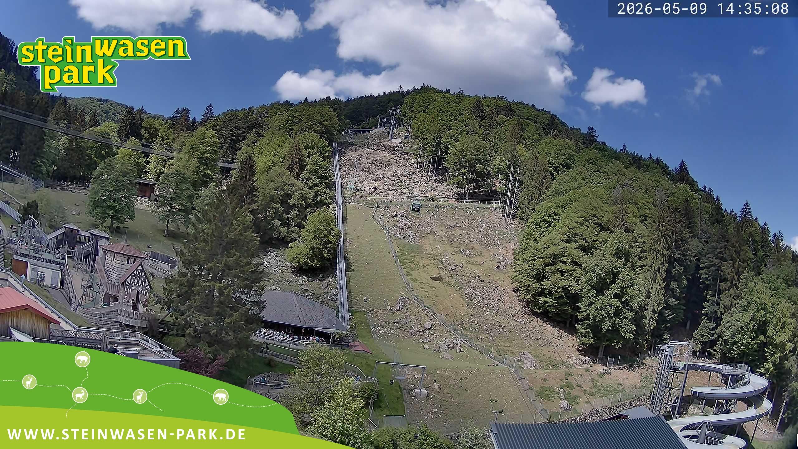 Archiv Foto Webcam Steinwasen Park