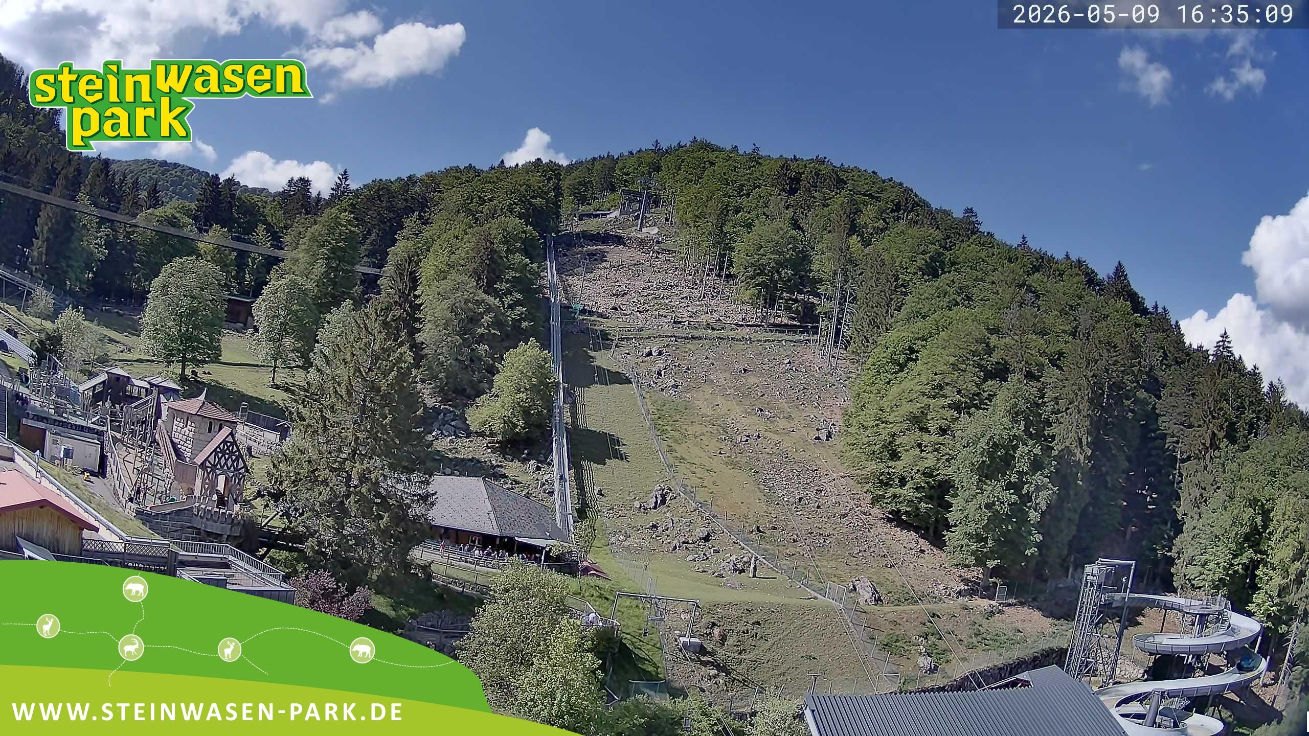 Archiv Foto Webcam Steinwasen Park
