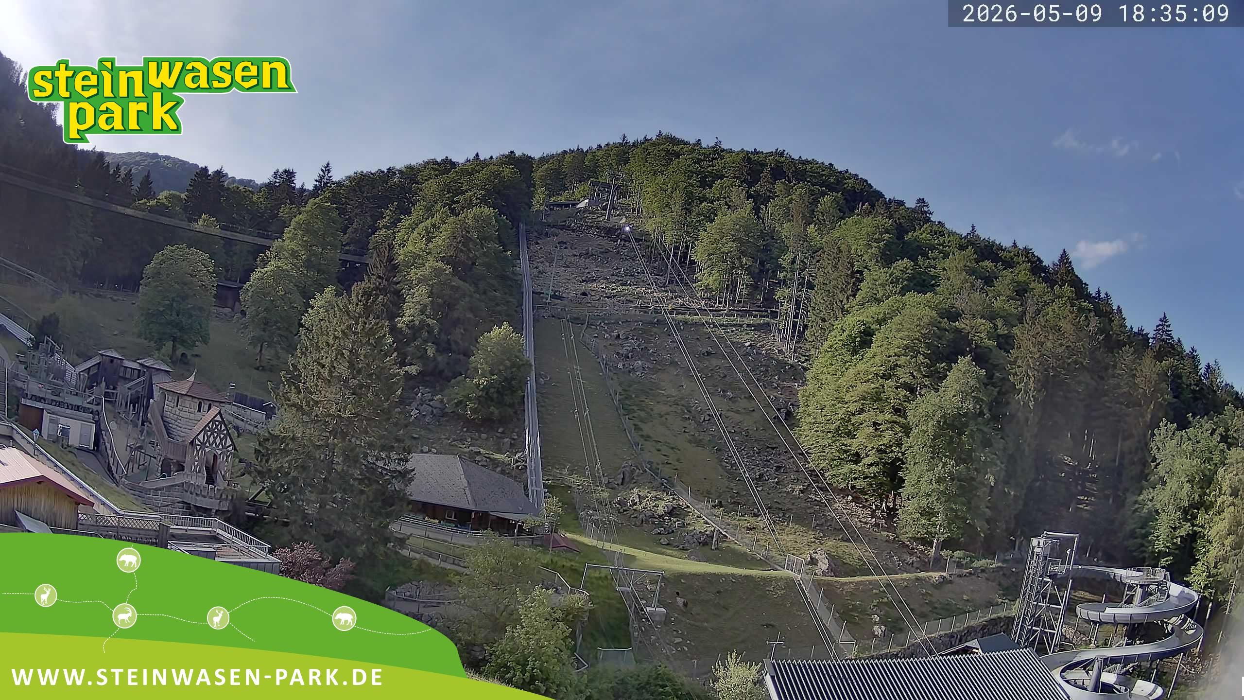 Archiv Foto Webcam Steinwasen Park