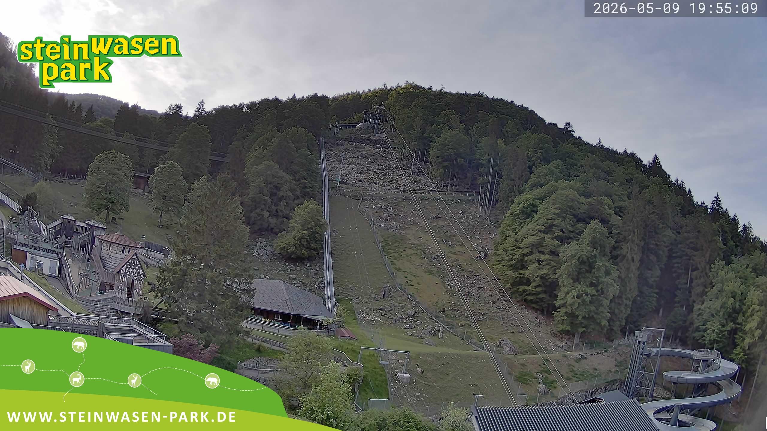 Archiv Foto Webcam Steinwasen Park