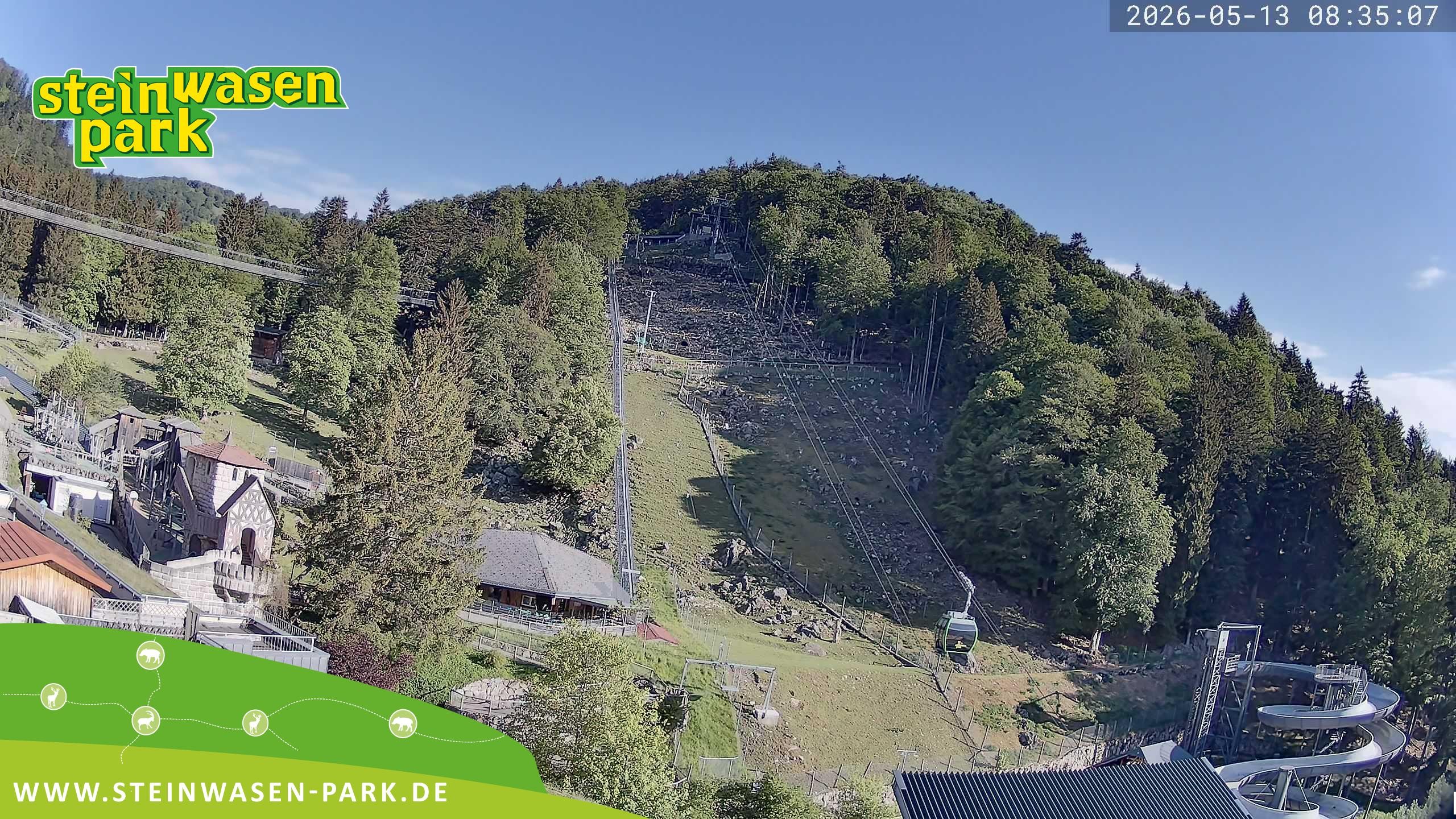 Archiv Foto Webcam Steinwasen Park