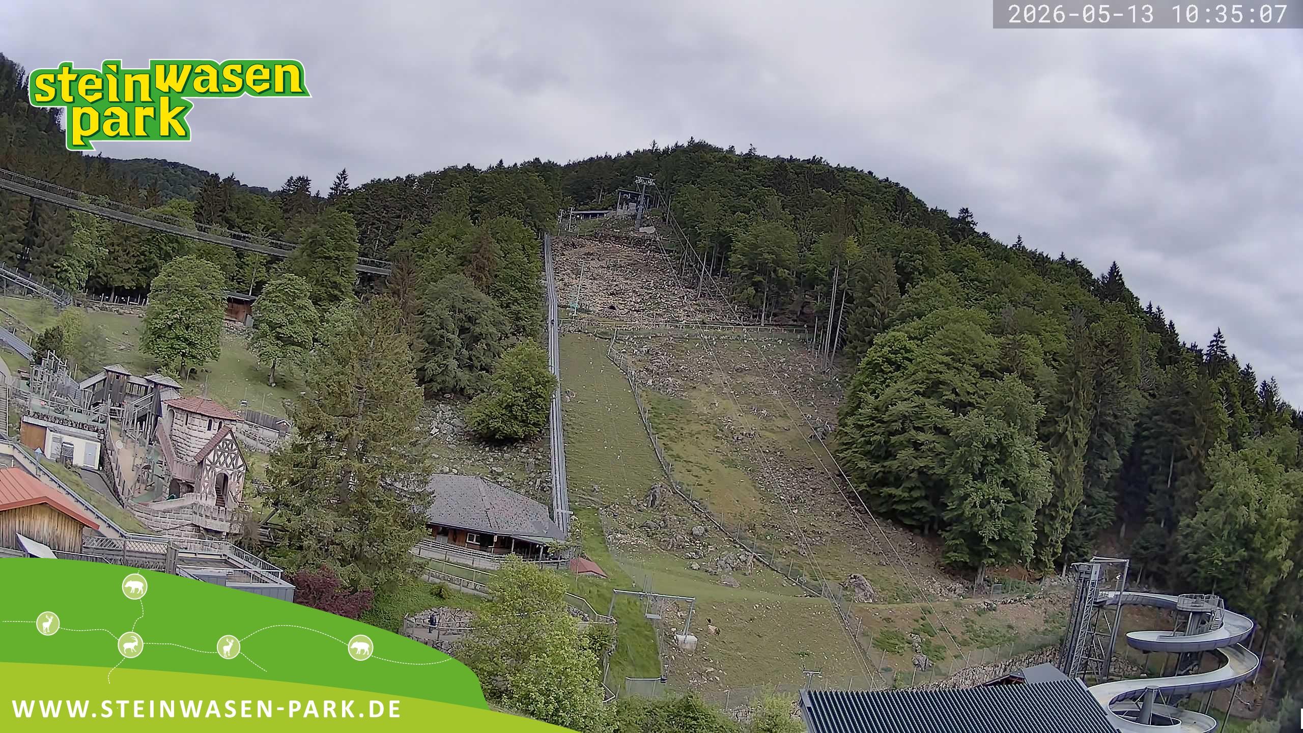 Archiv Foto Webcam Steinwasen Park