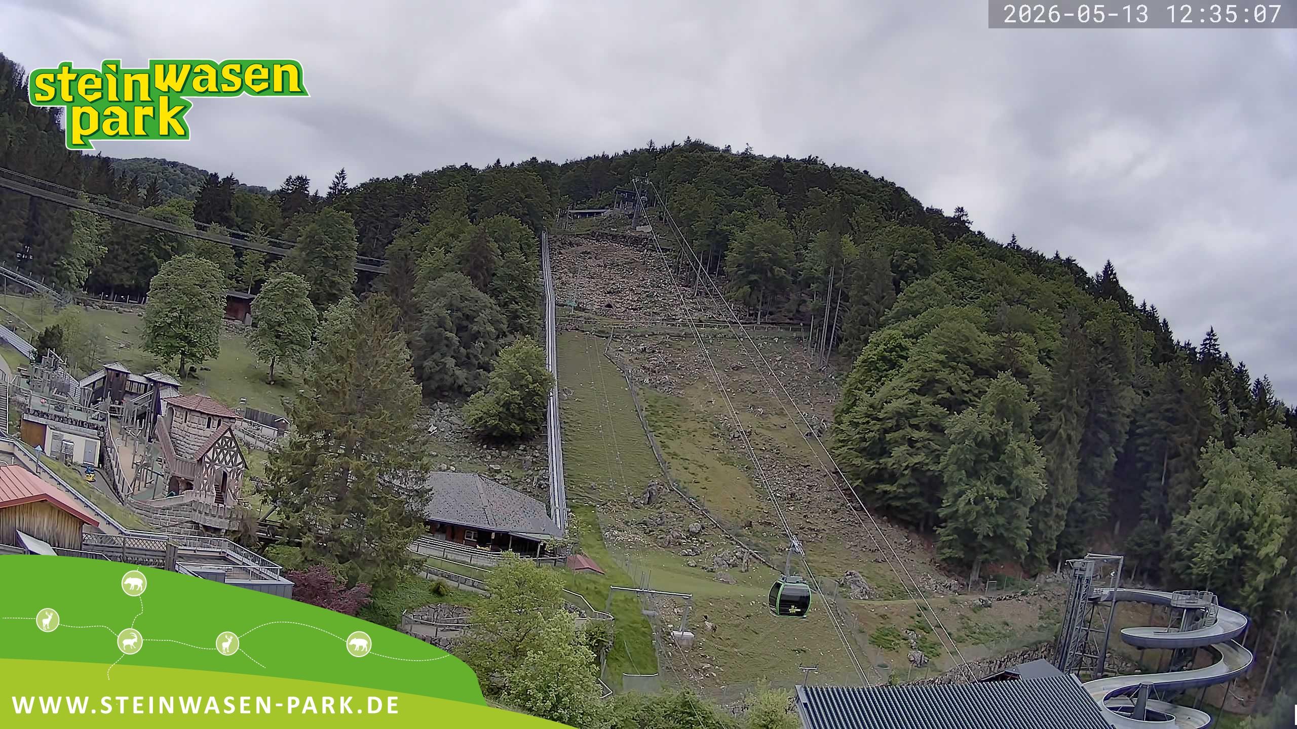 Archiv Foto Webcam Steinwasen Park