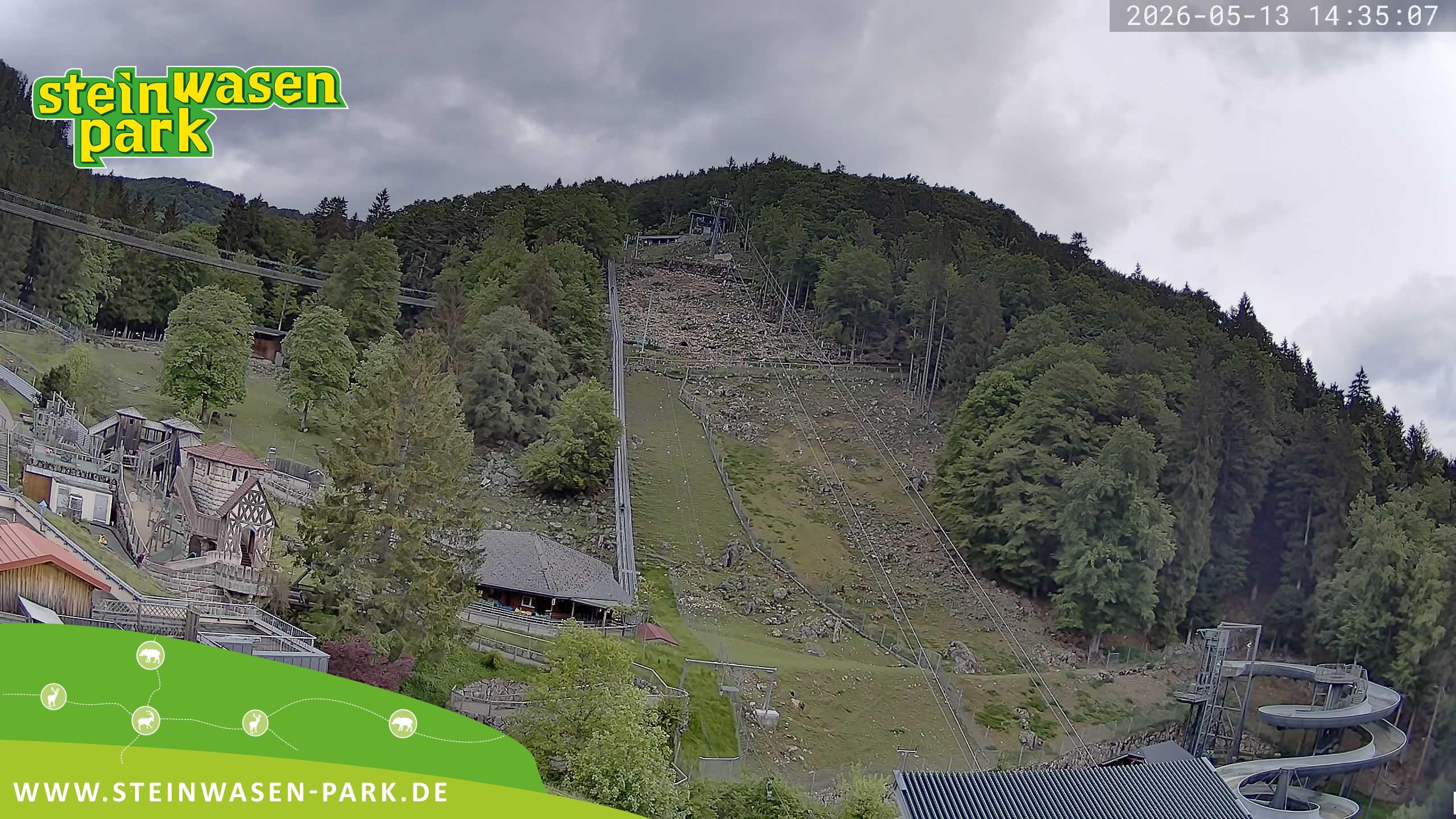 Archiv Foto Webcam Steinwasen Park