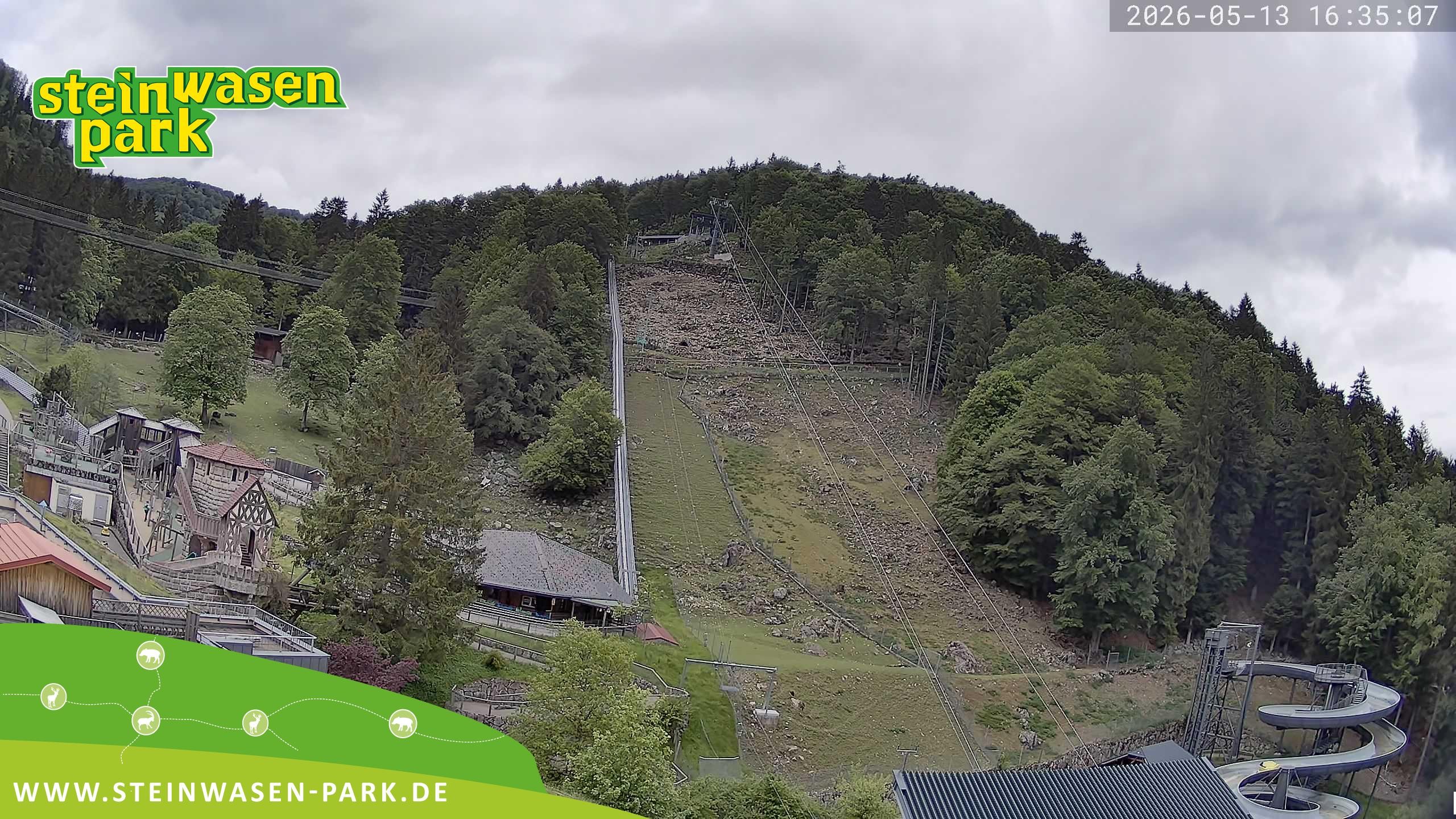 Archiv Foto Webcam Steinwasen Park