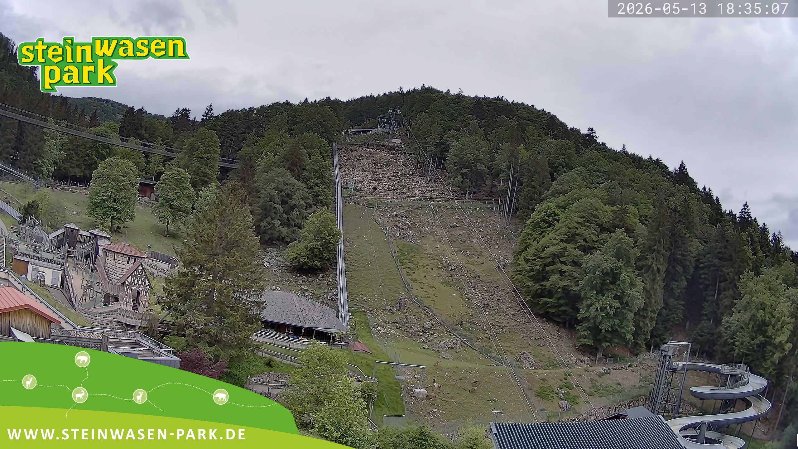 Archiv Foto Webcam Steinwasen Park
