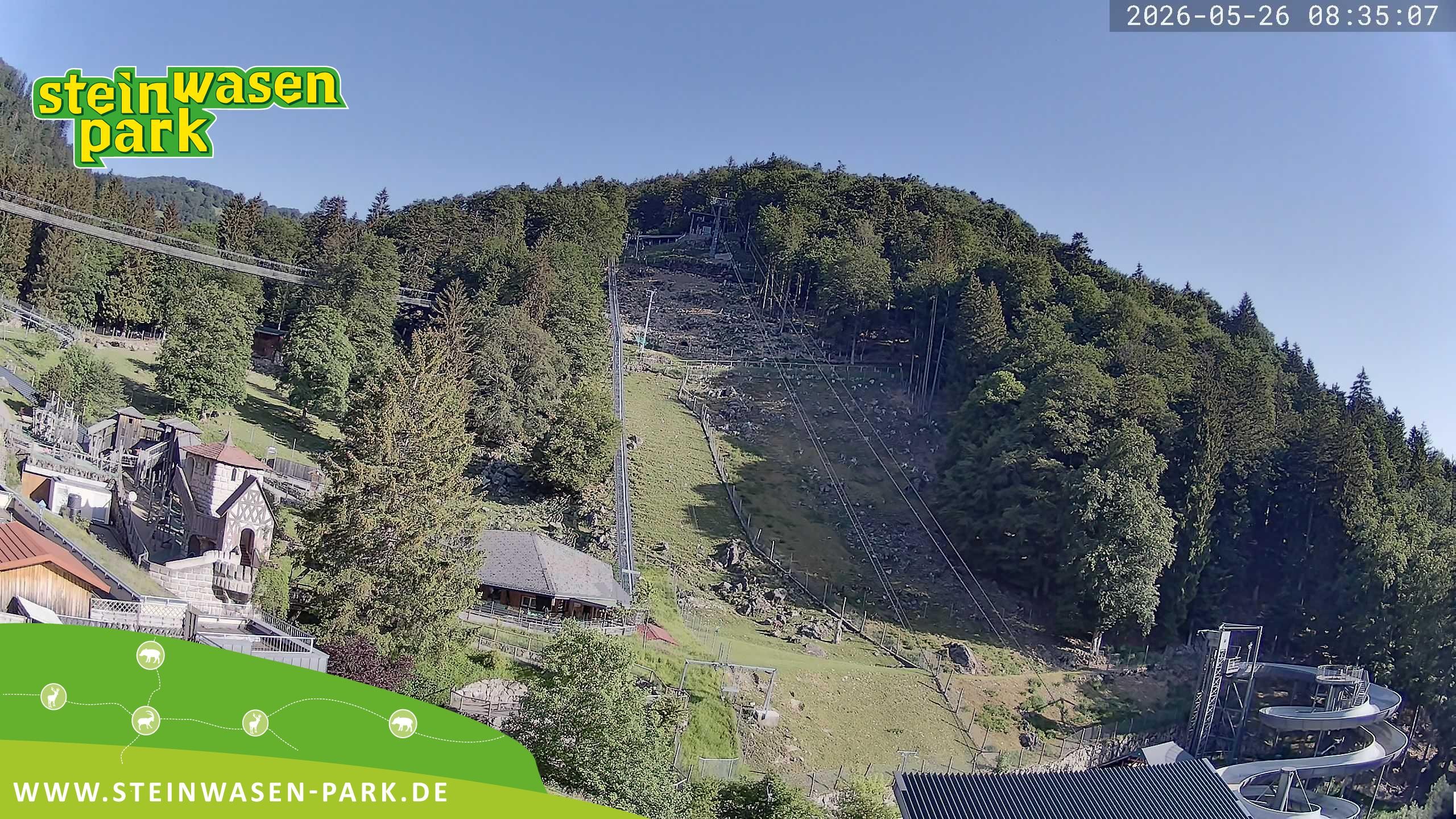Archiv Foto Webcam Steinwasen Park