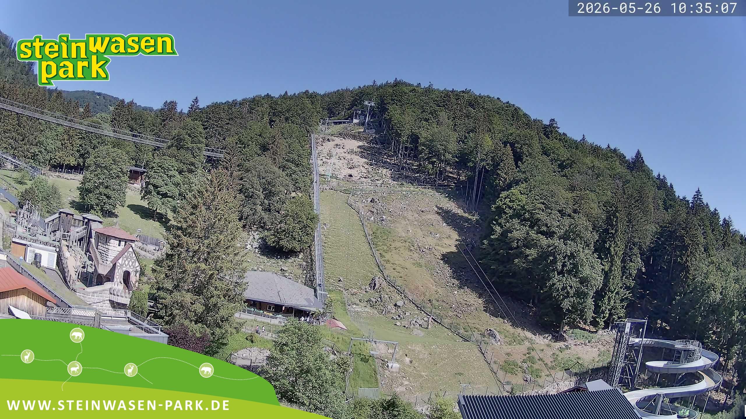 Archiv Foto Webcam Steinwasen Park