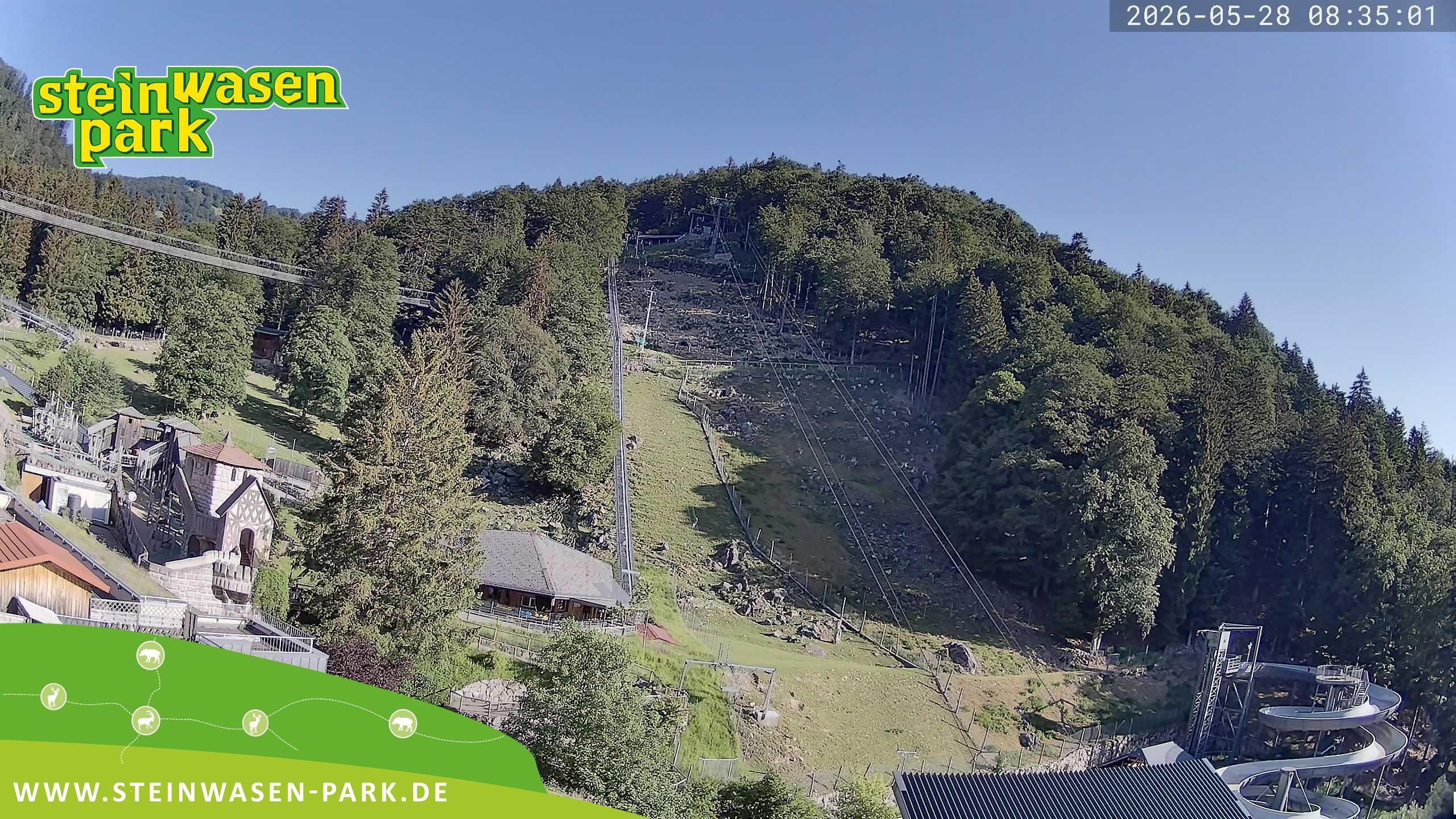 Archiv Foto Webcam Steinwasen Park