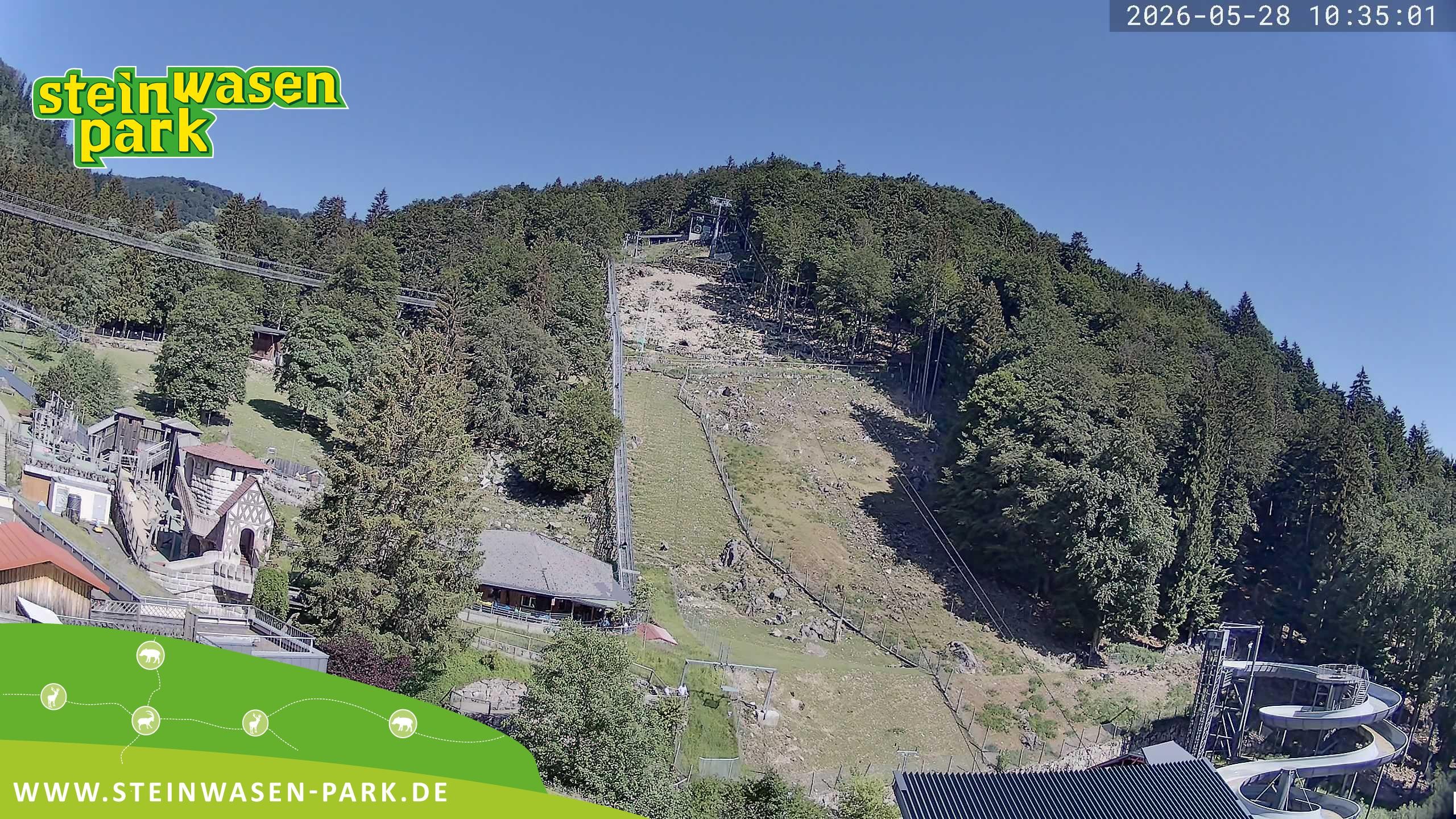 Archiv Foto Webcam Steinwasen Park