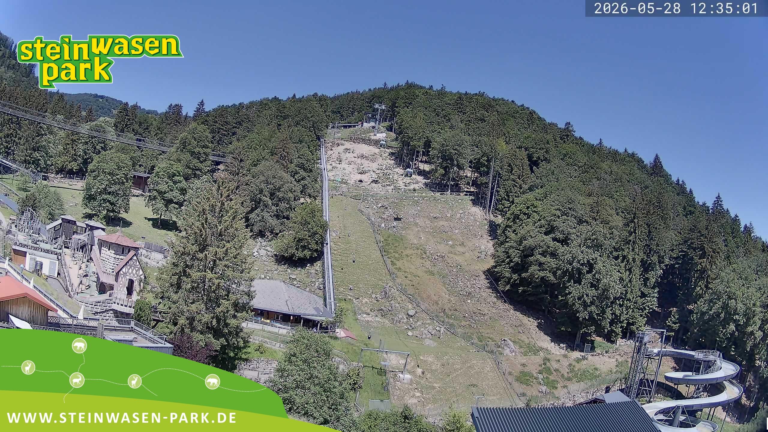 Archiv Foto Webcam Steinwasen Park