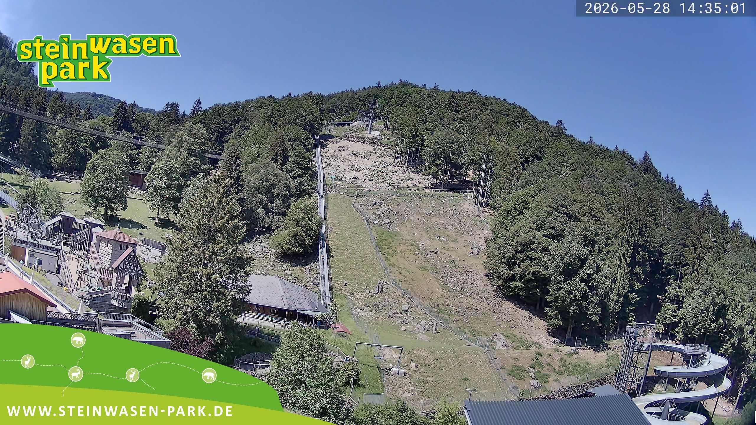 Archiv Foto Webcam Steinwasen Park