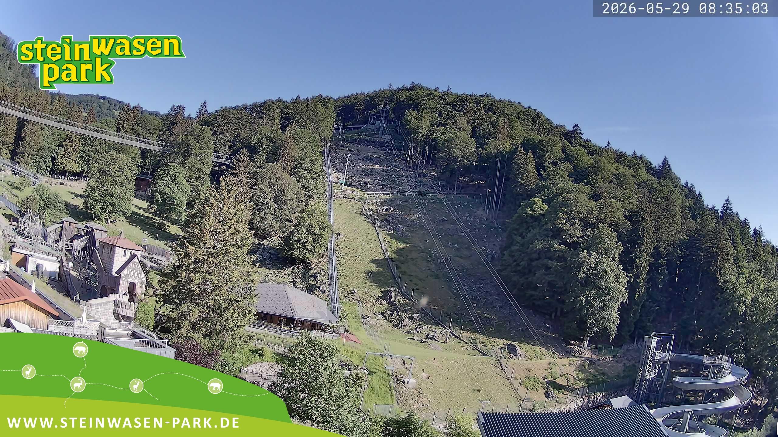 Archived image Webcam at Steinwasen Park