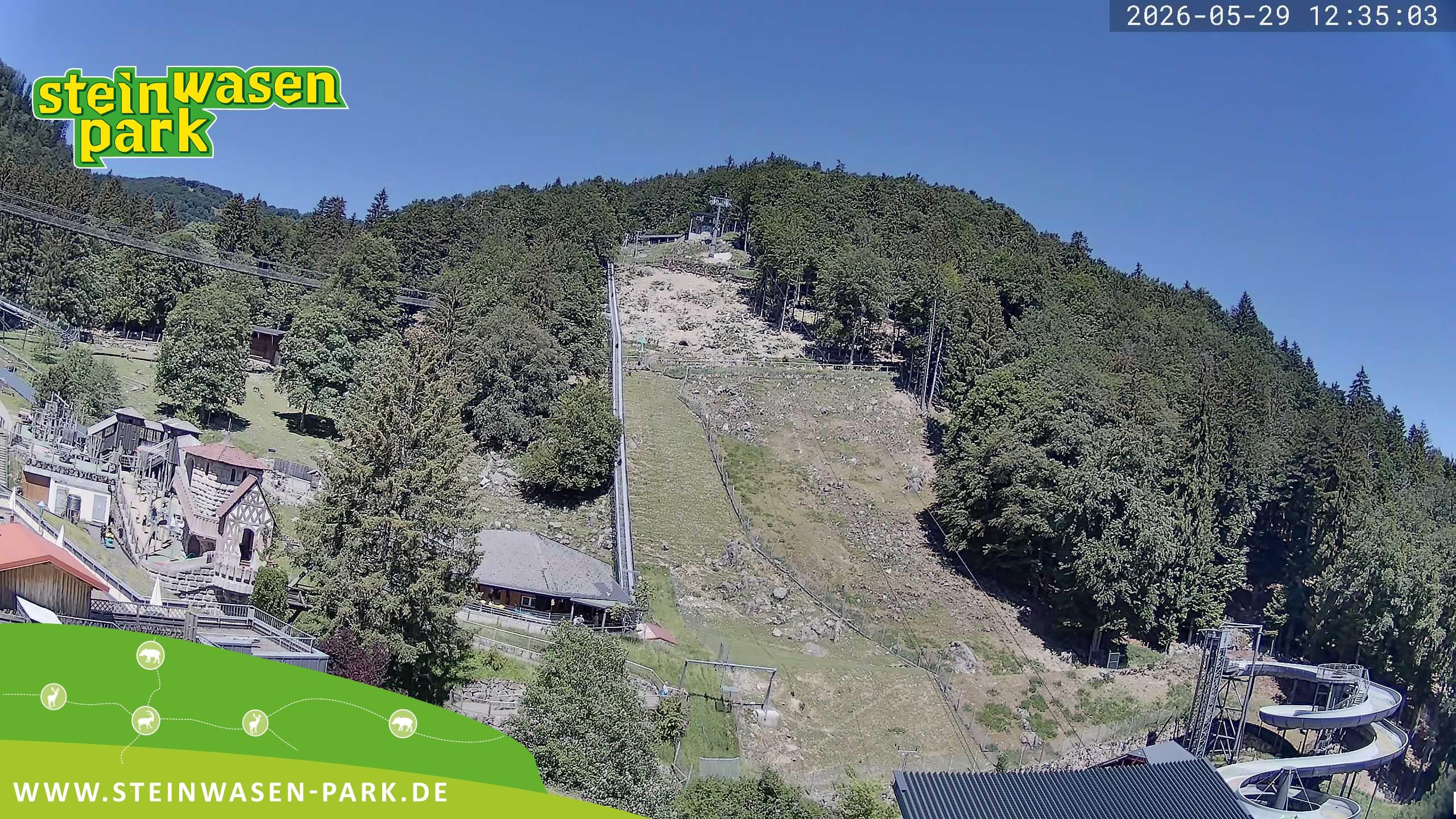 Archived image Webcam at Steinwasen Park