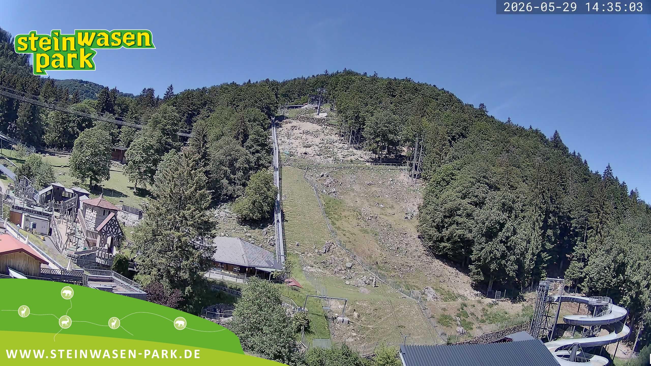 Archived image Webcam at Steinwasen Park