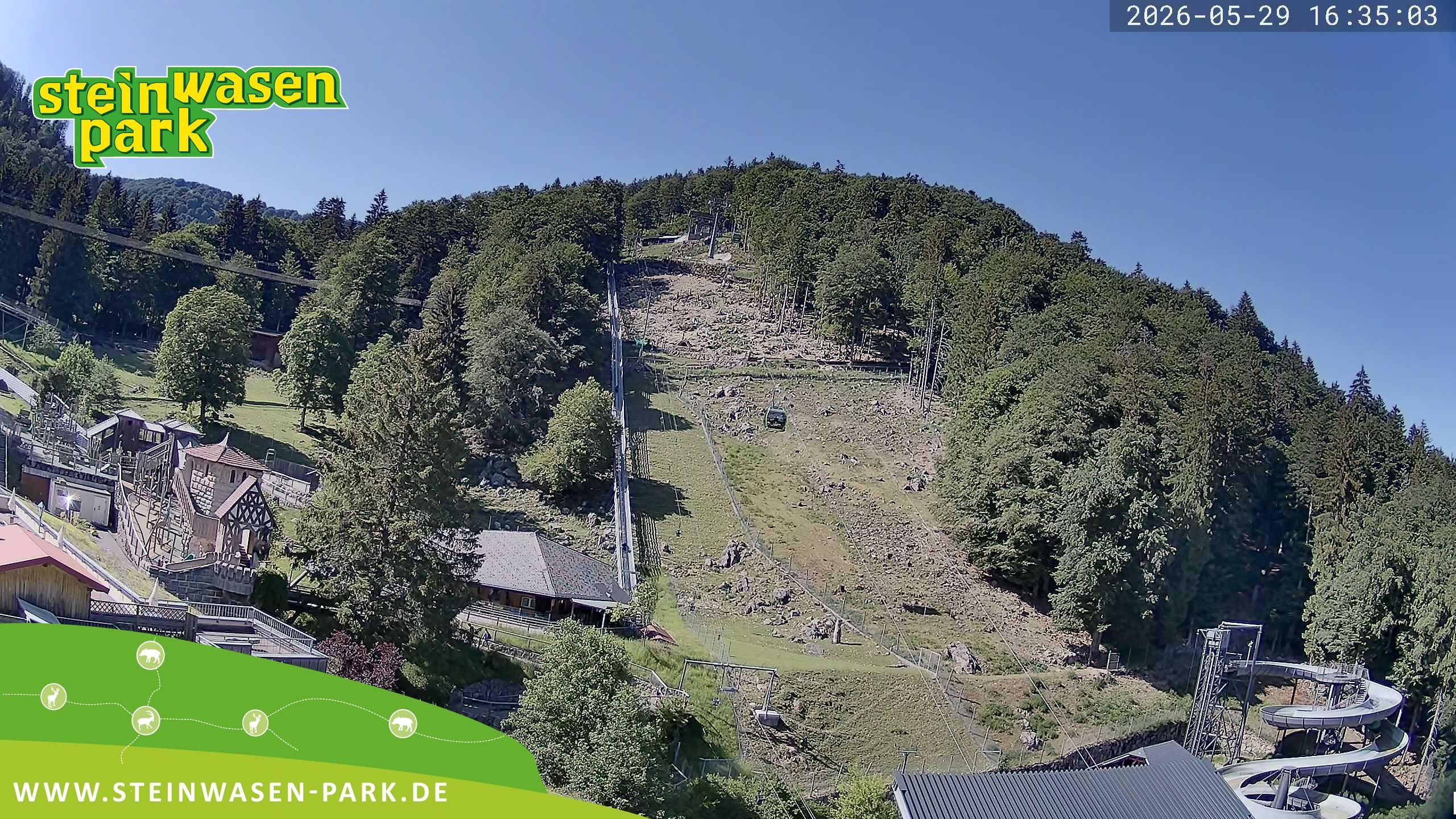 Archived image Webcam at Steinwasen Park