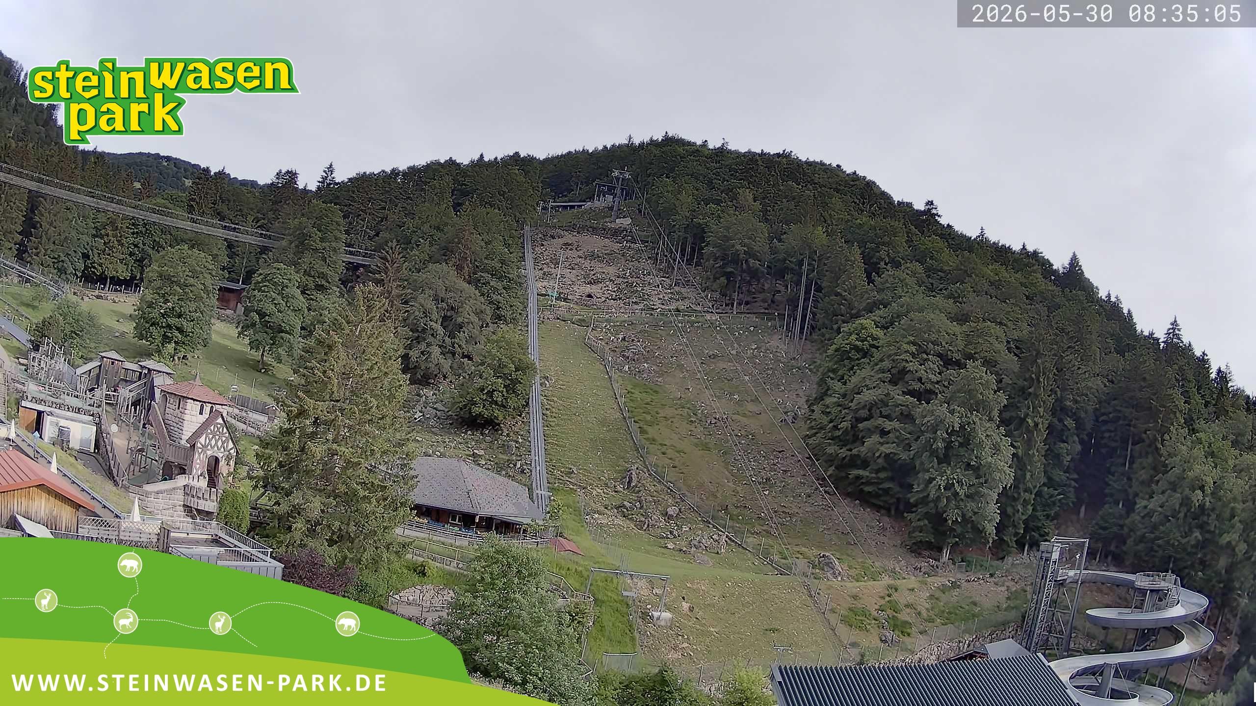 Archiv Foto Webcam Steinwasen Park