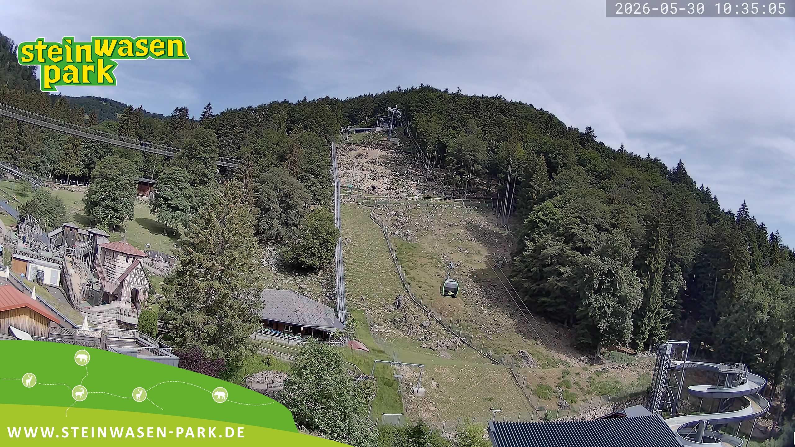 Archiv Foto Webcam Steinwasen Park