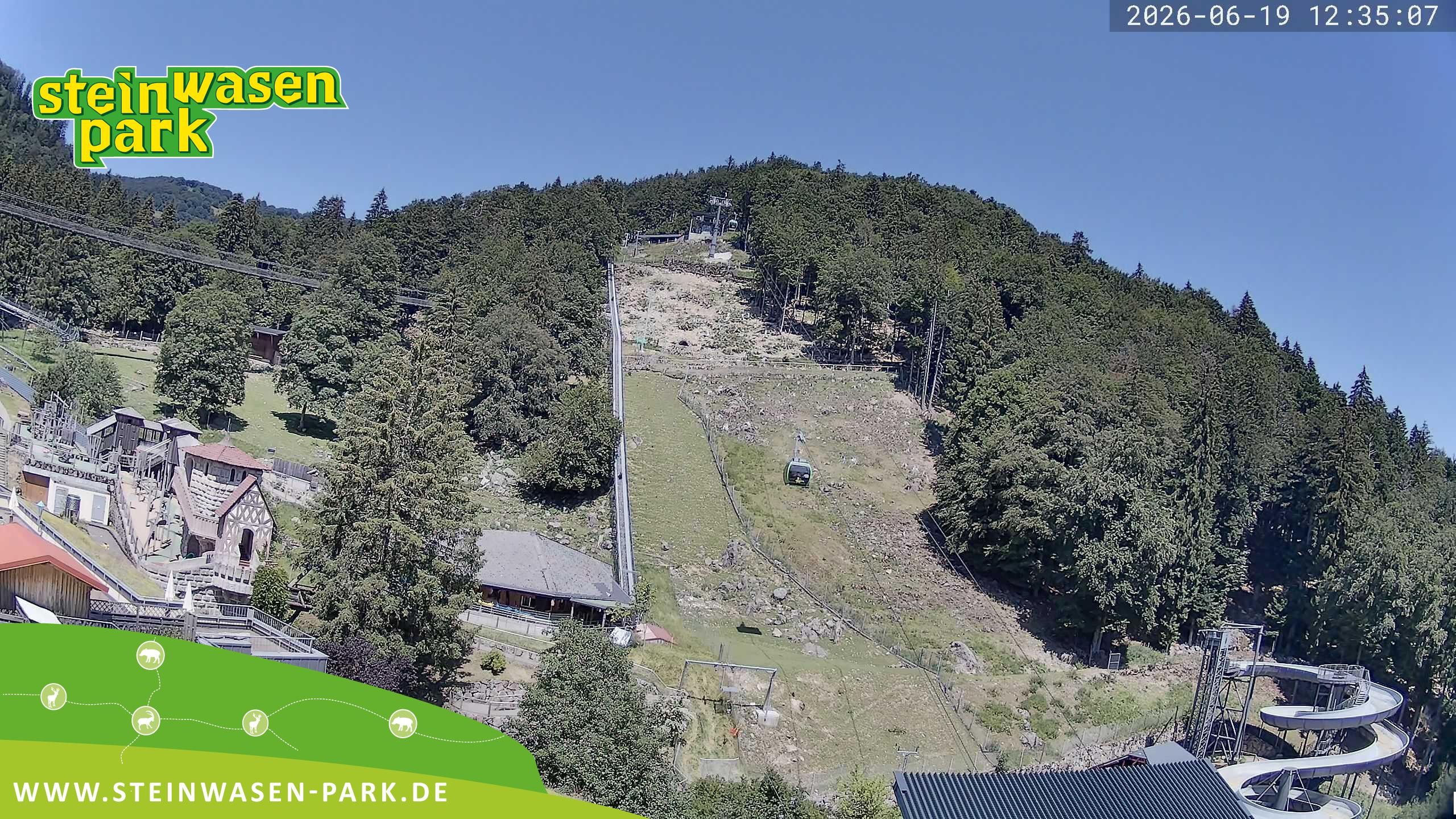 Archiv Foto Webcam Steinwasen Park