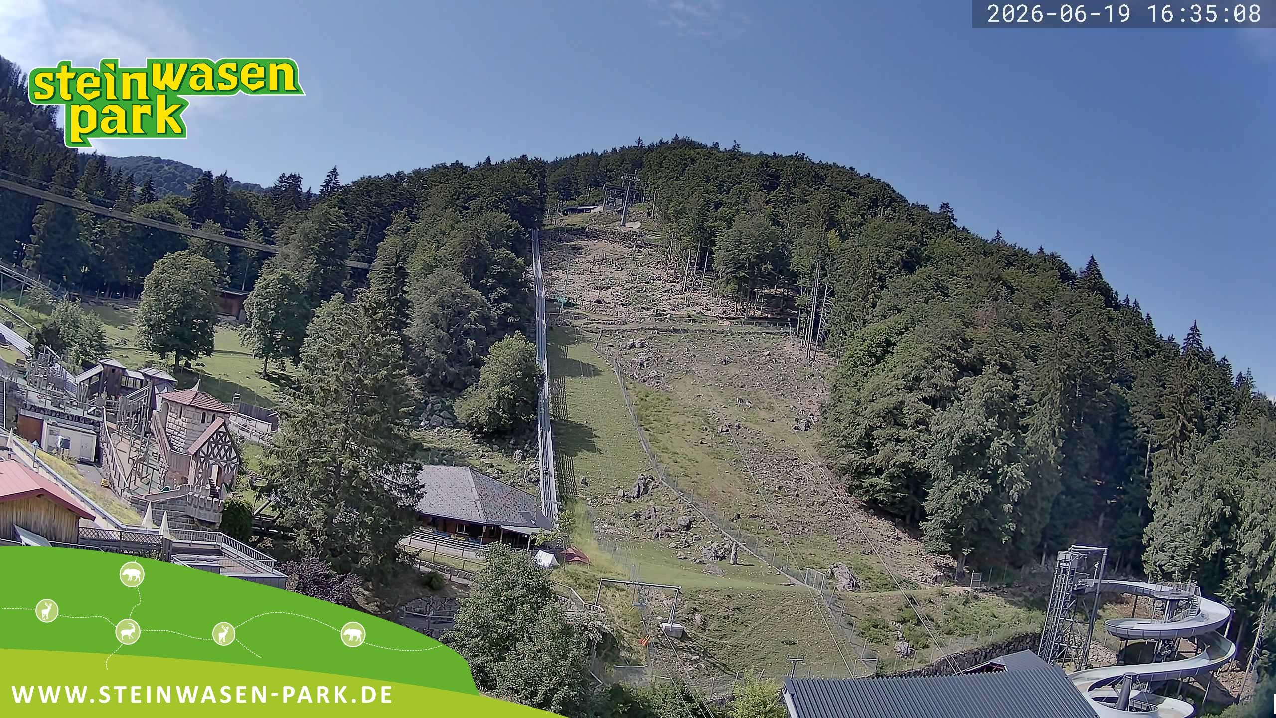 Archiv Foto Webcam Steinwasen Park